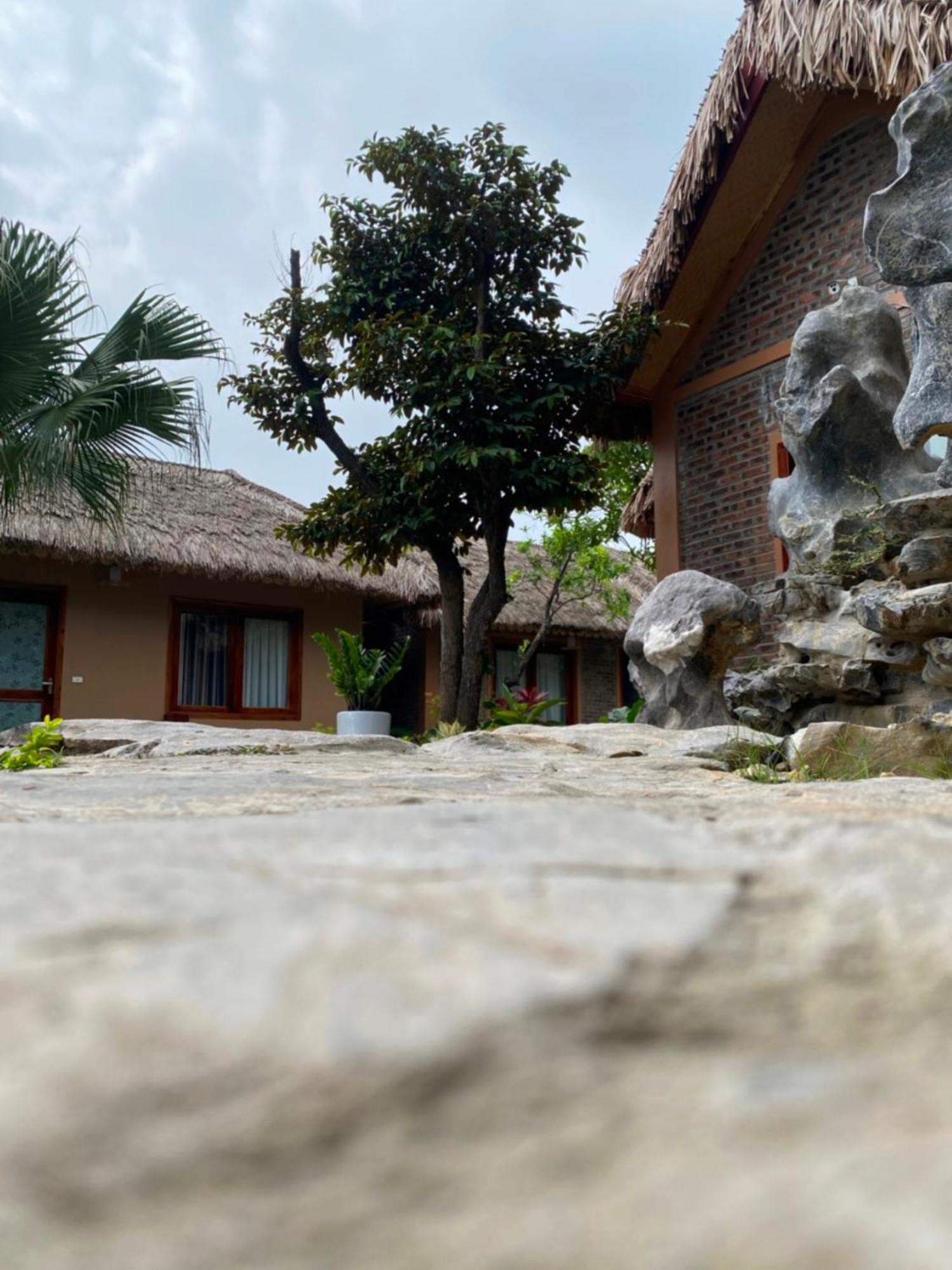 Homestay Lemon Tree Tam Coc *