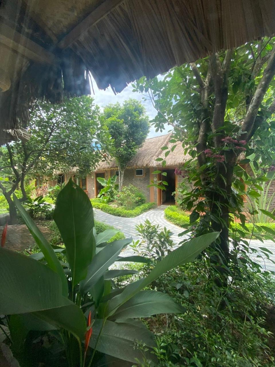 Homestay Lemon Tree Tam Coc Ninh Binh