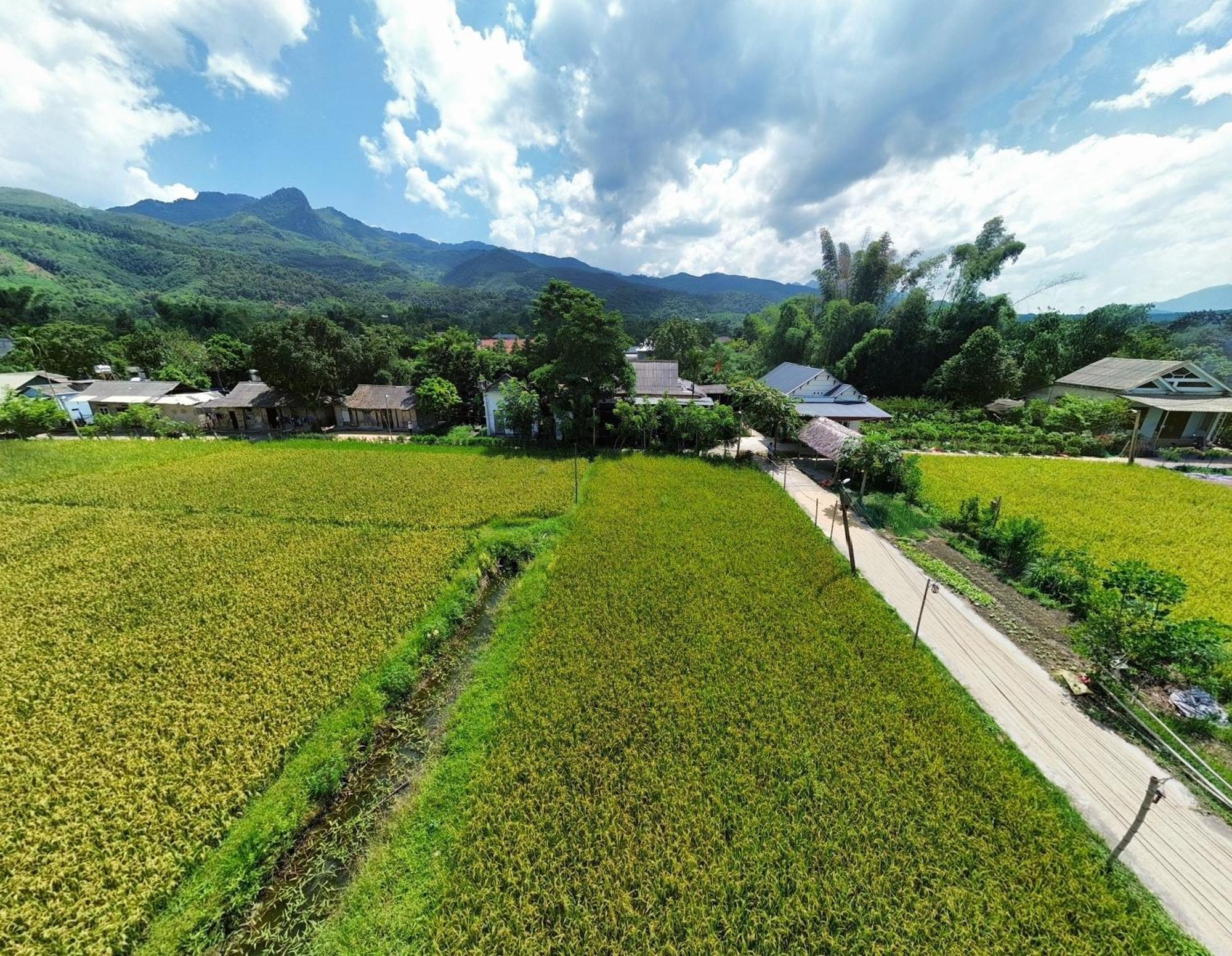 Frühstückspension Chinh Bi