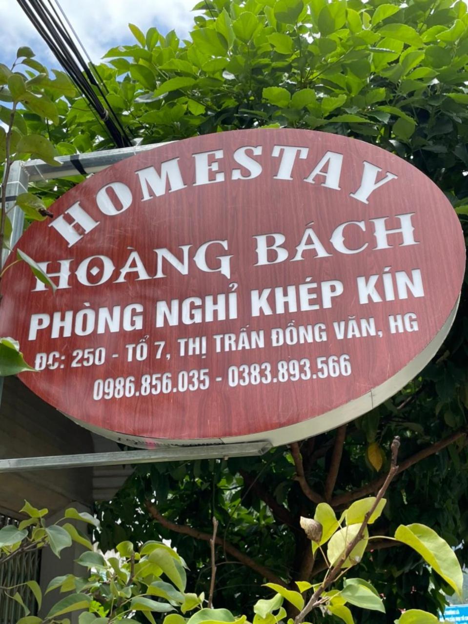 Hoang Bach
