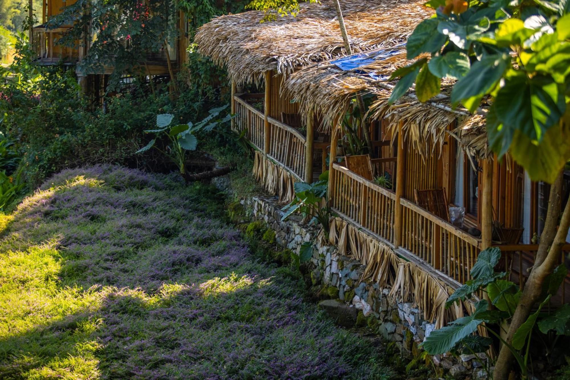 Natura Resort 4*