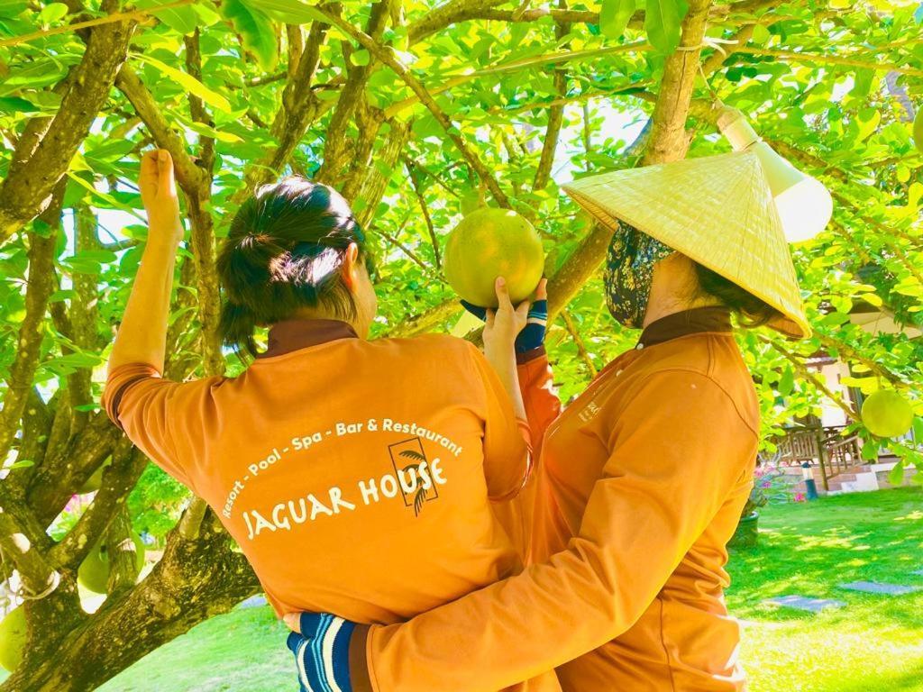 Hotel Jaguar House Muine Mui Ne