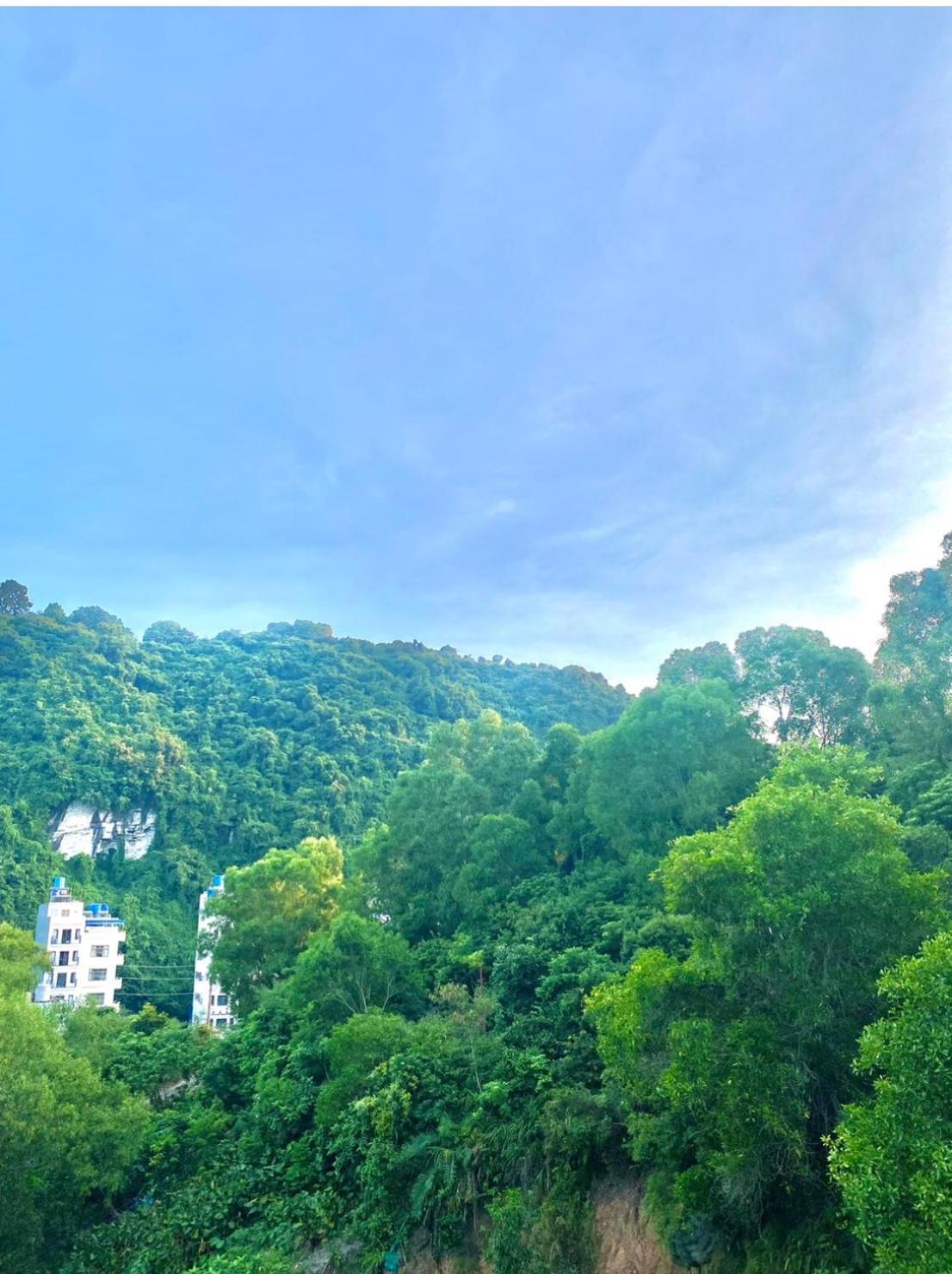 Hotel Sunflower Catba Dong Khe Sau
