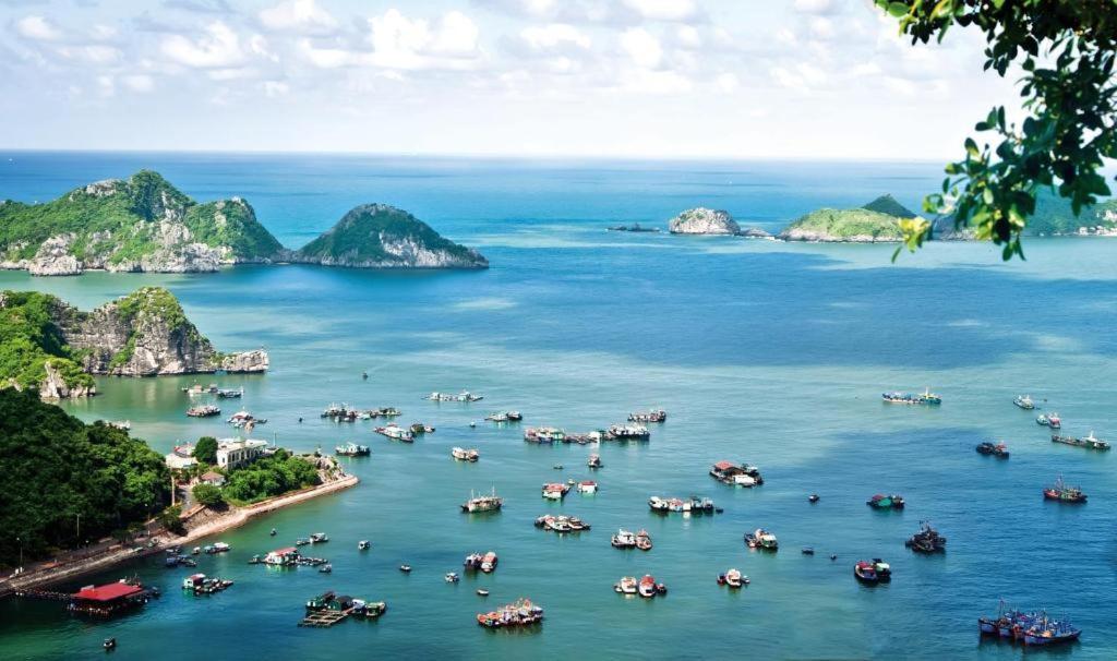 Hotel Hoang Phuc