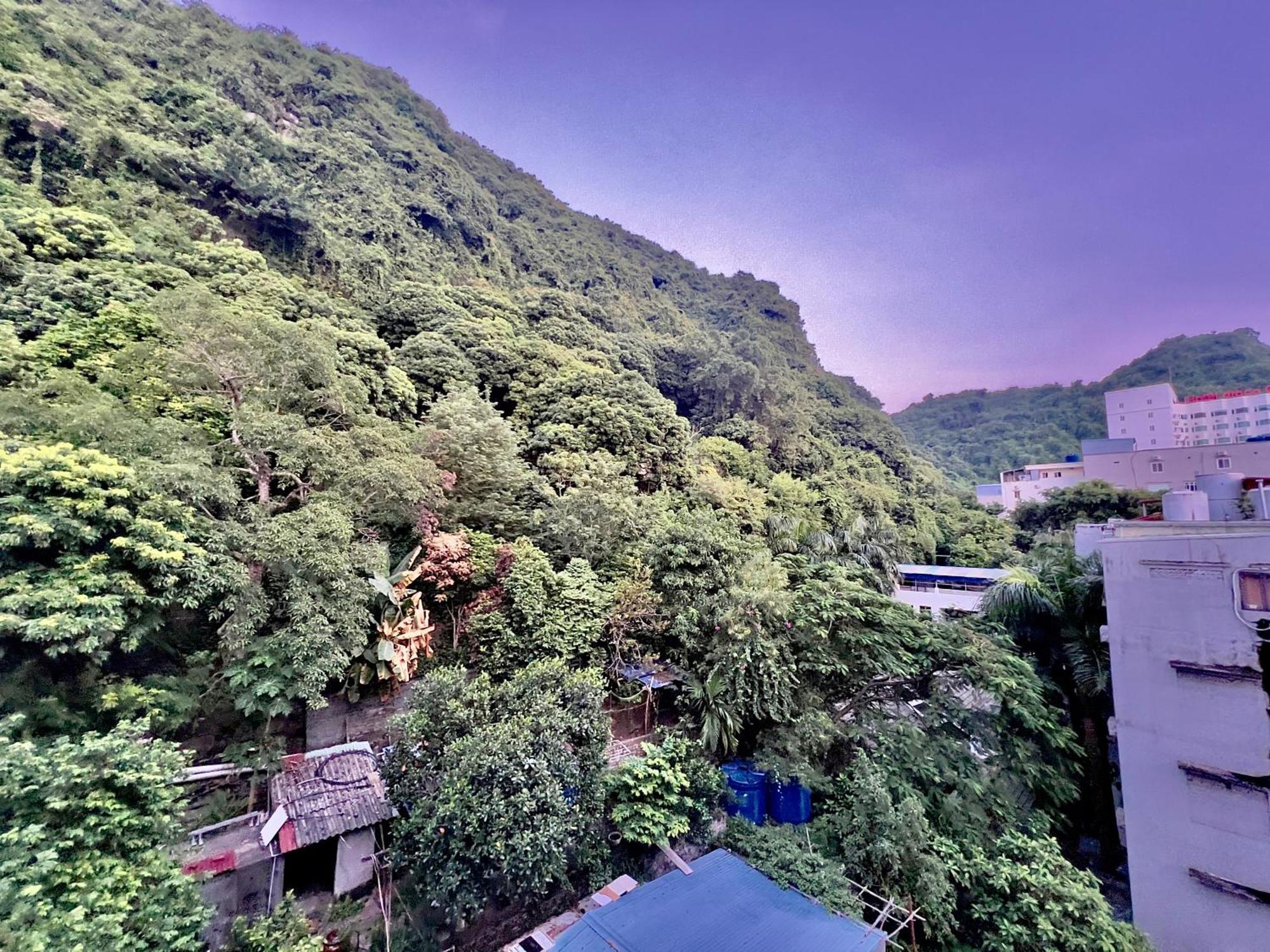 Hotel Manh Vuong Catba Dong Khe Sau