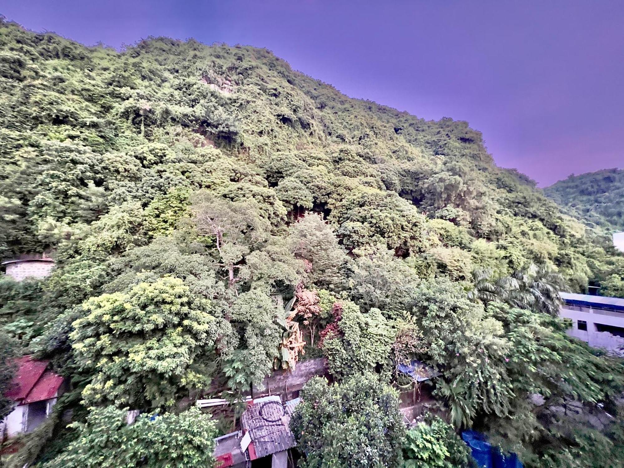 Manh Vuong Catba Hotel 3*