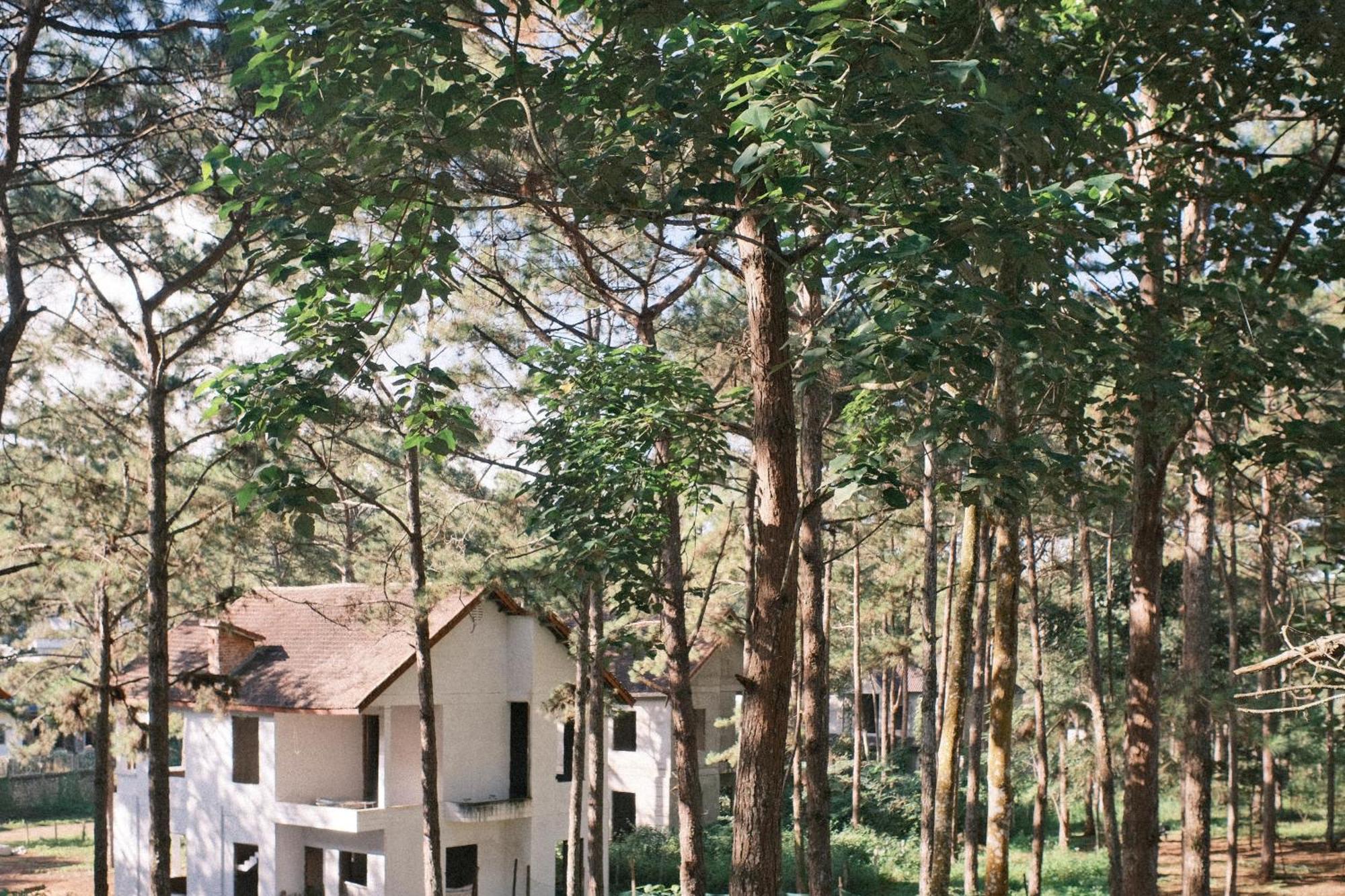 Homestay Tron Homestay