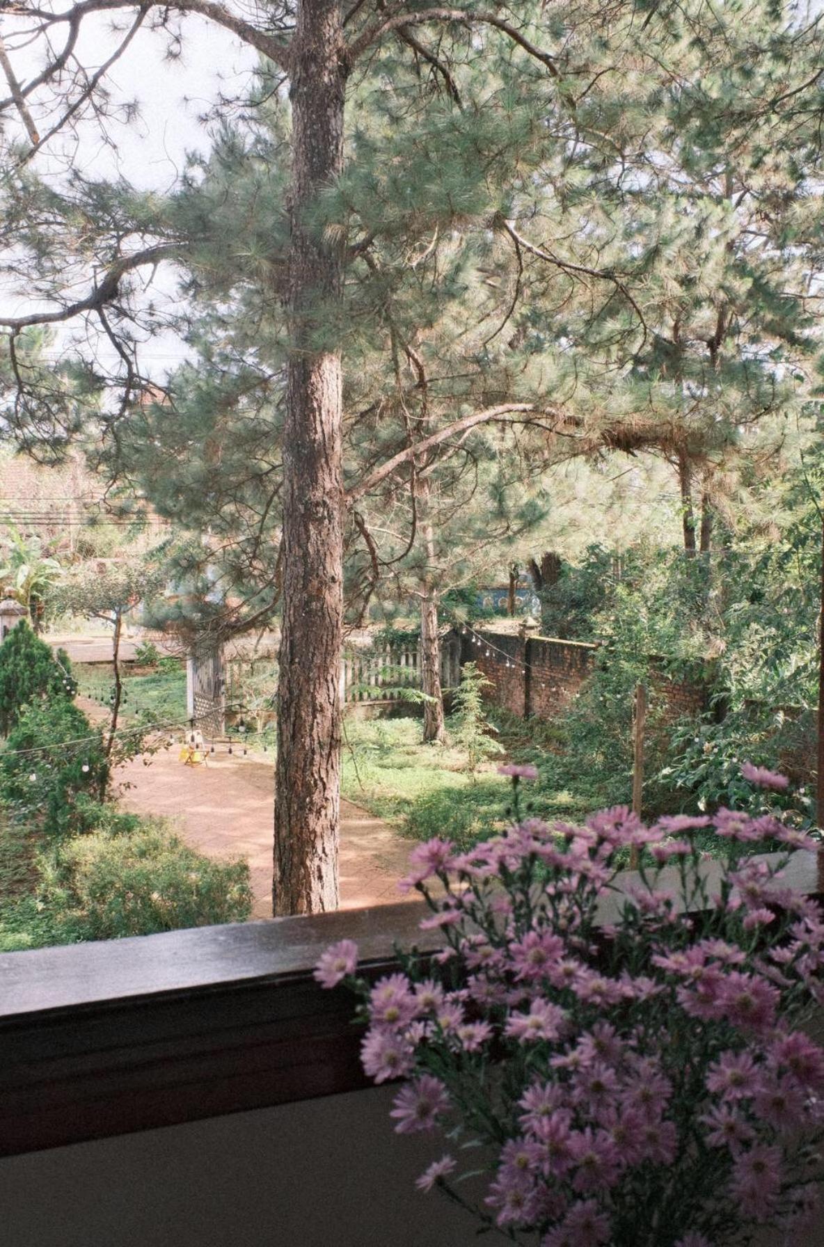 Tron Homestay Homestay Kon Von Kla