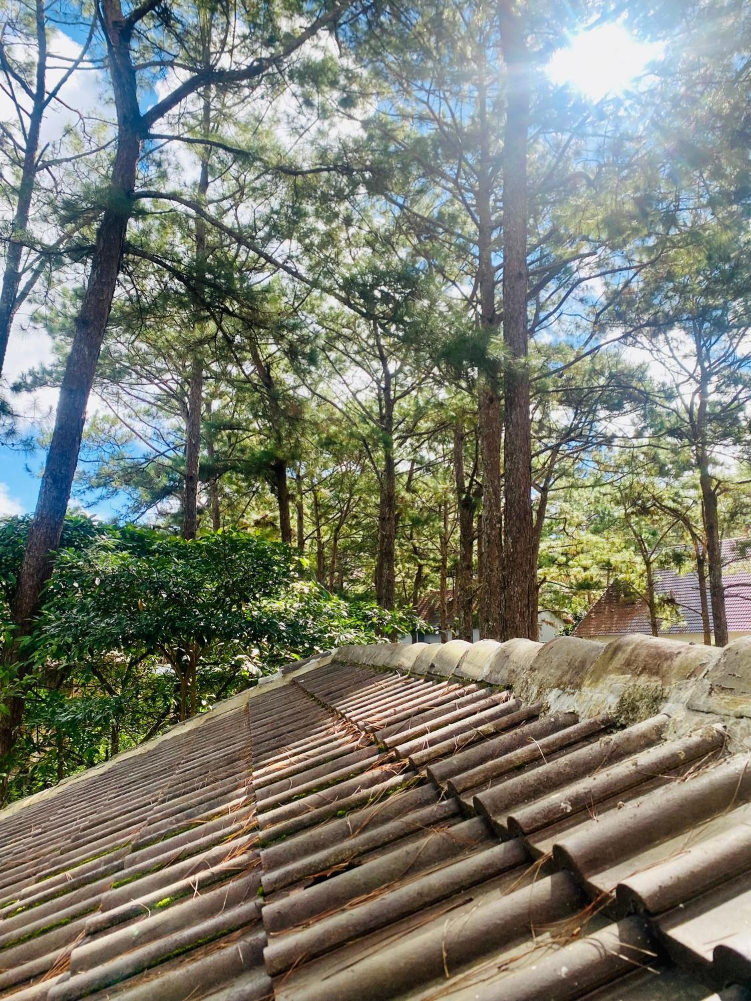 Tron Homestay Homestay