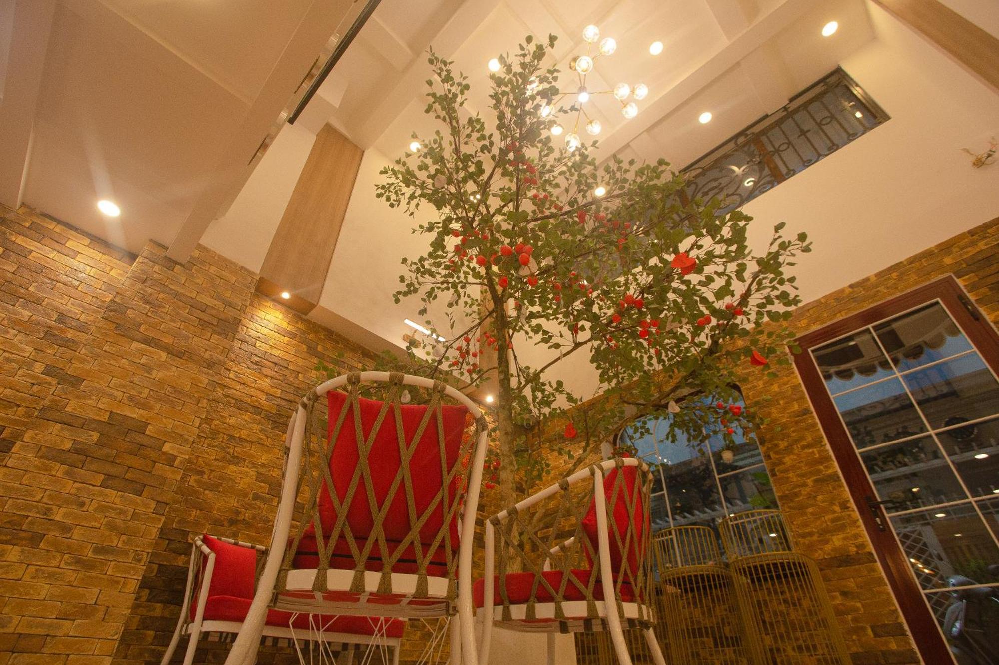Sweet Lavender & Mini Hotel Da Lat