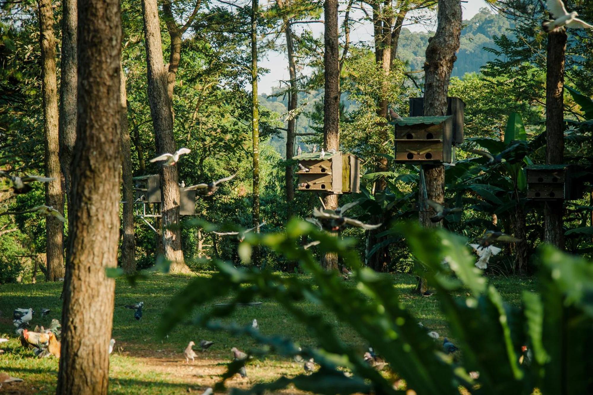 Resort Melia Ba Vi Mountain Retreat 4*