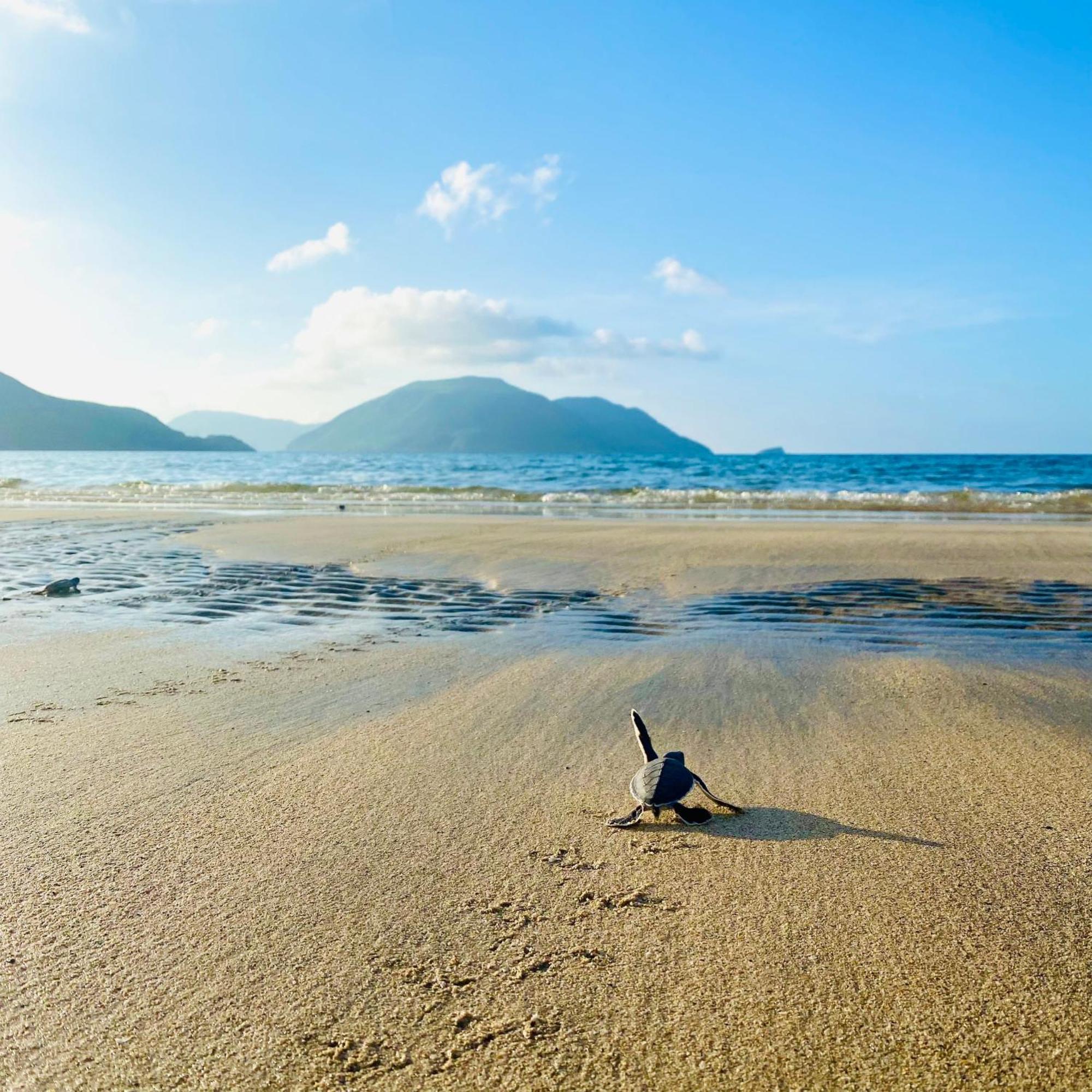 Six Senses Con Dao - Turtle Island Paradise