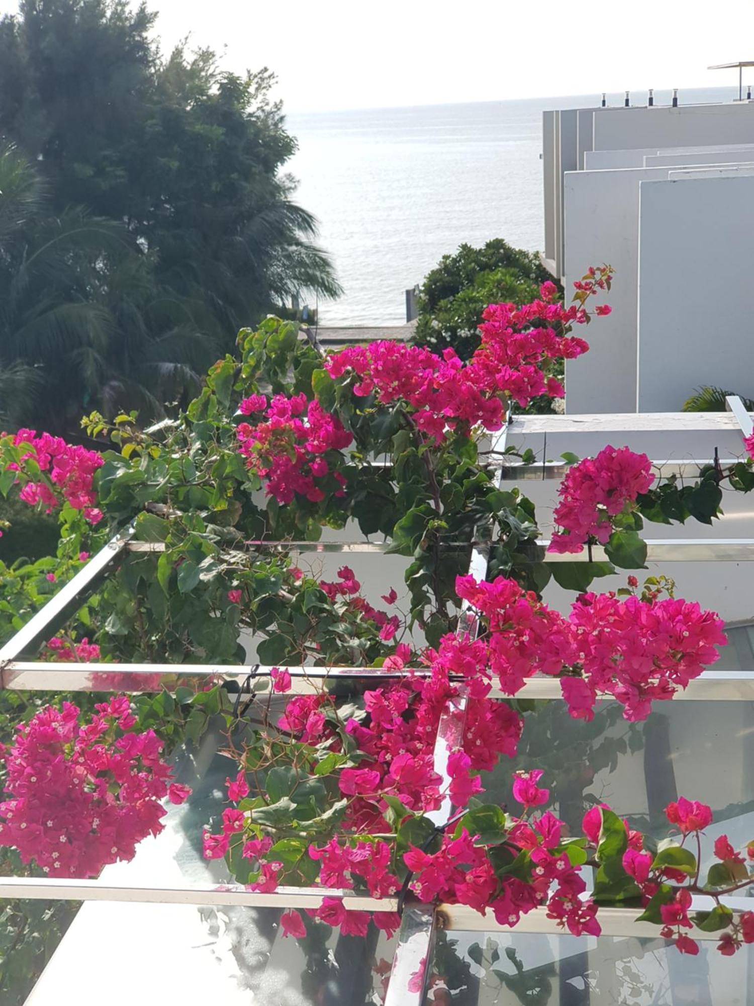 Villa Oceanami Sea View Long Hai