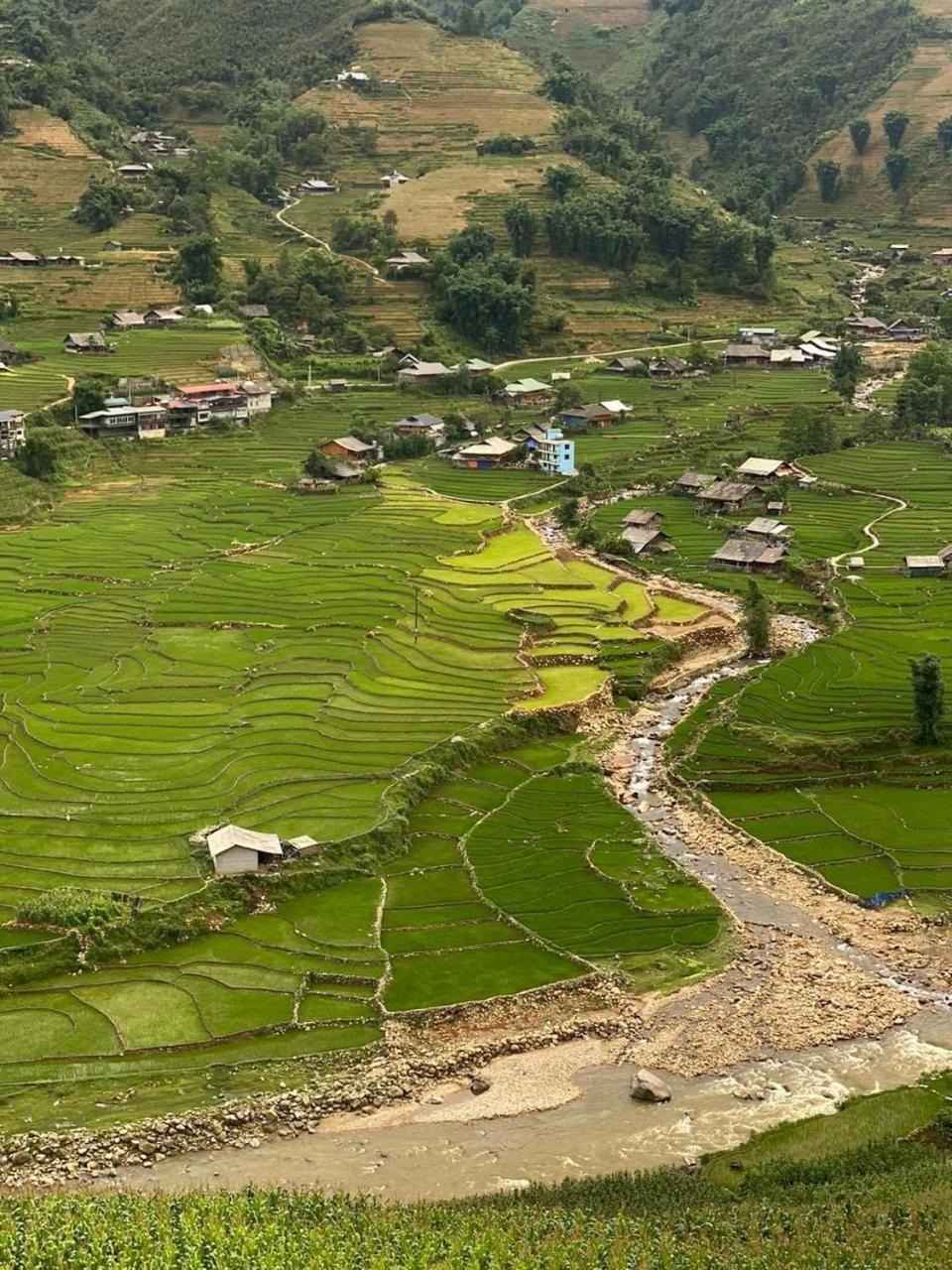 Tiger Hotel Sapa