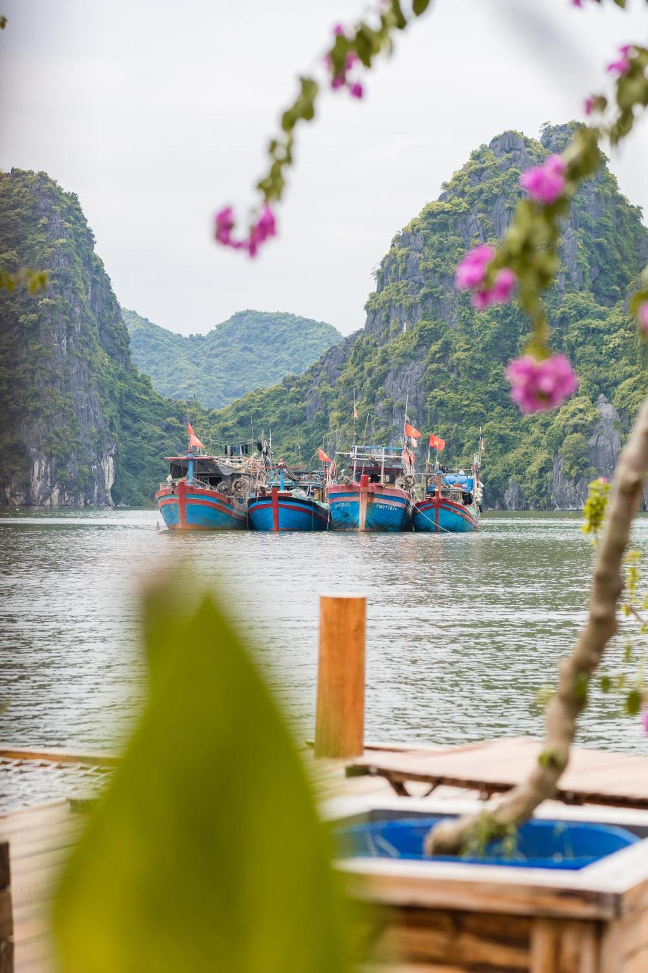 Lan Ha Floating * Dong Khe Sau