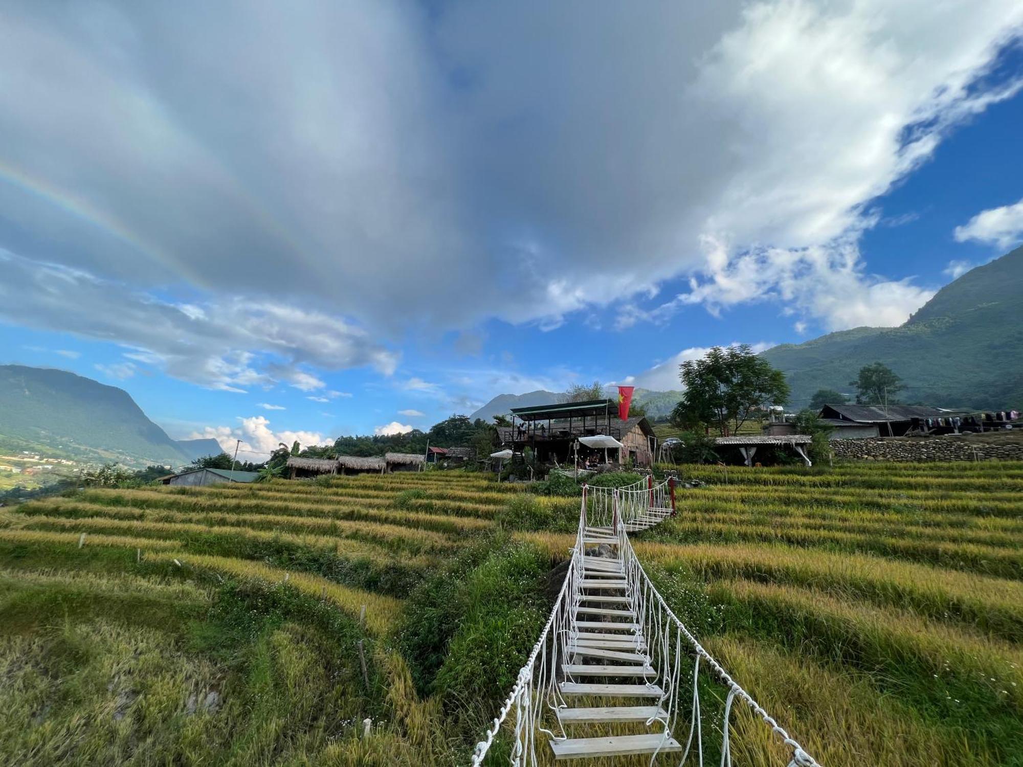Hotel Comlam Eco House 2*