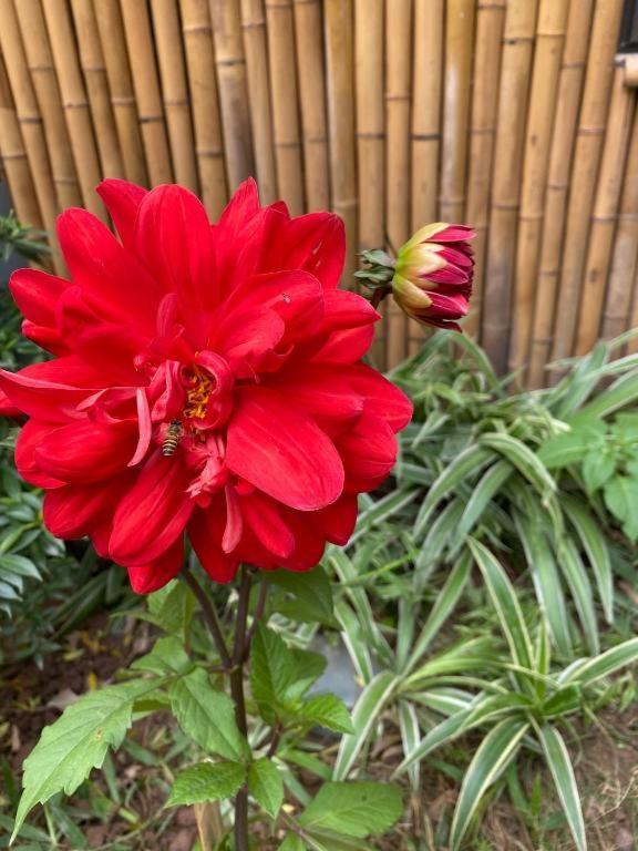 Trang An Moon Garden