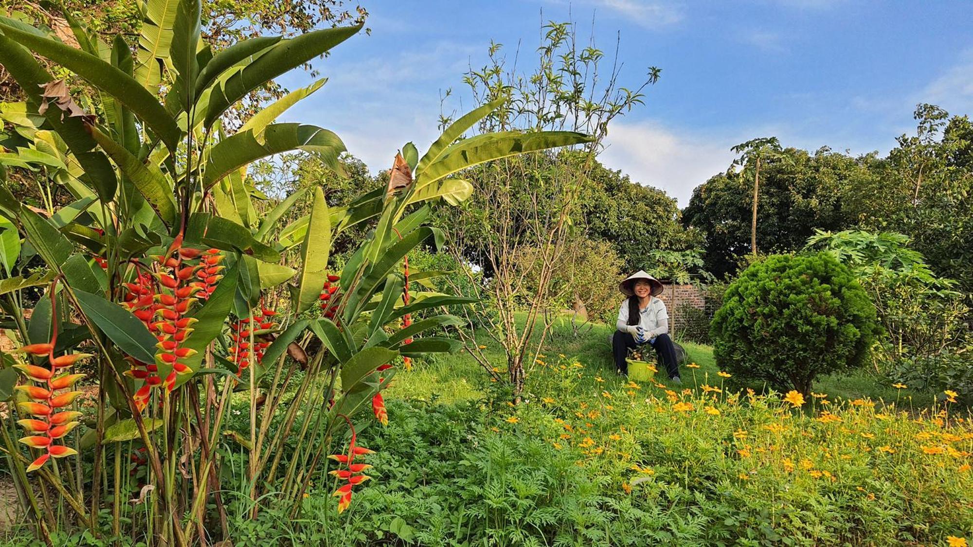 Fefe Garden Ba Vi
