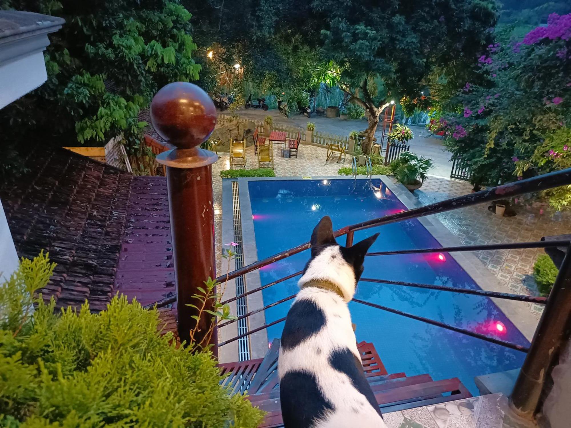 Tam Coc Sunshine Hotel