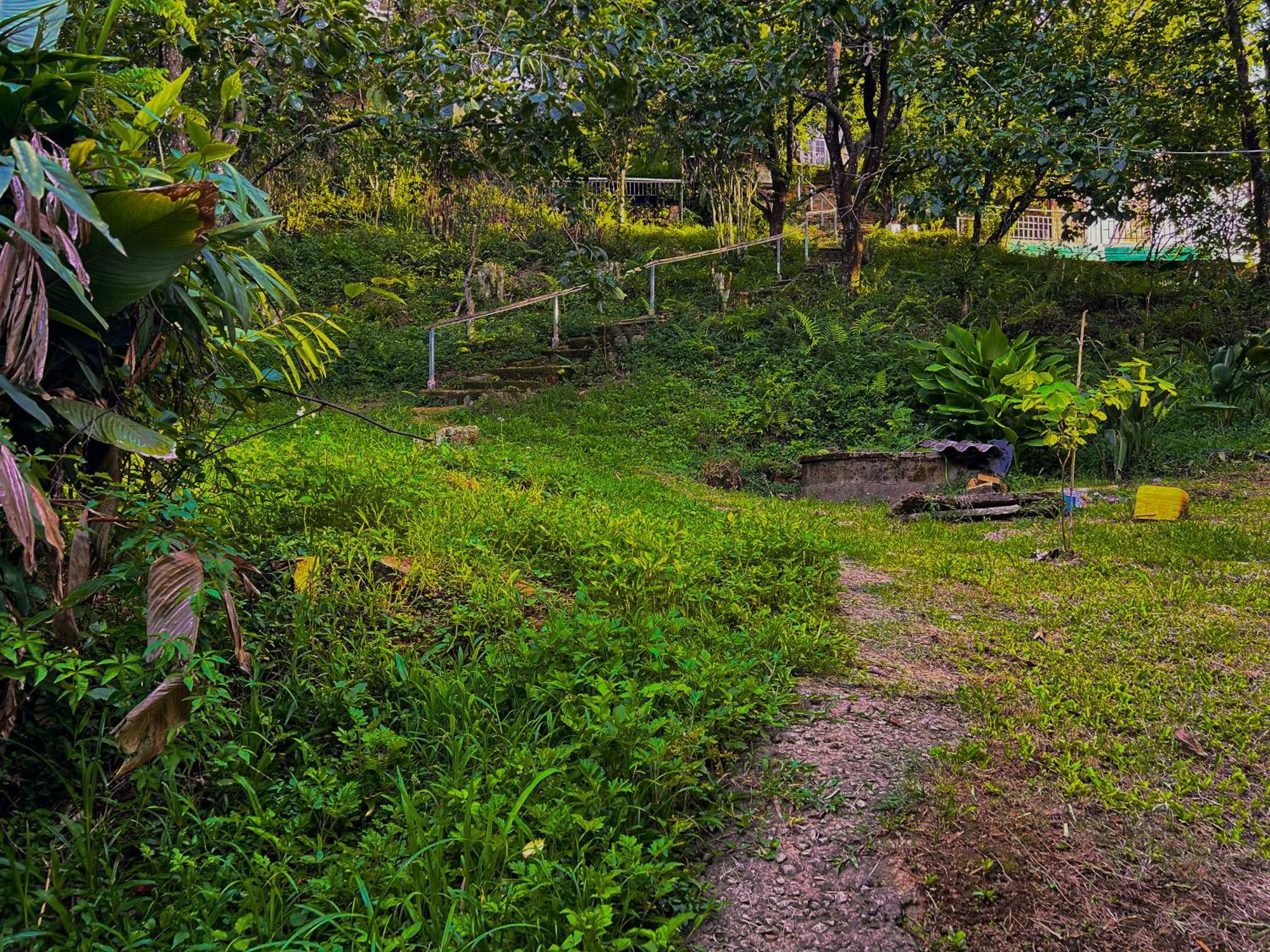 Hong Mon Da Lat