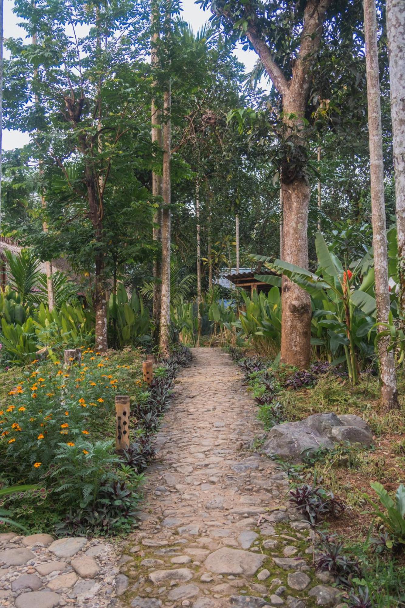 Pu Luong Ecolodge Lodge