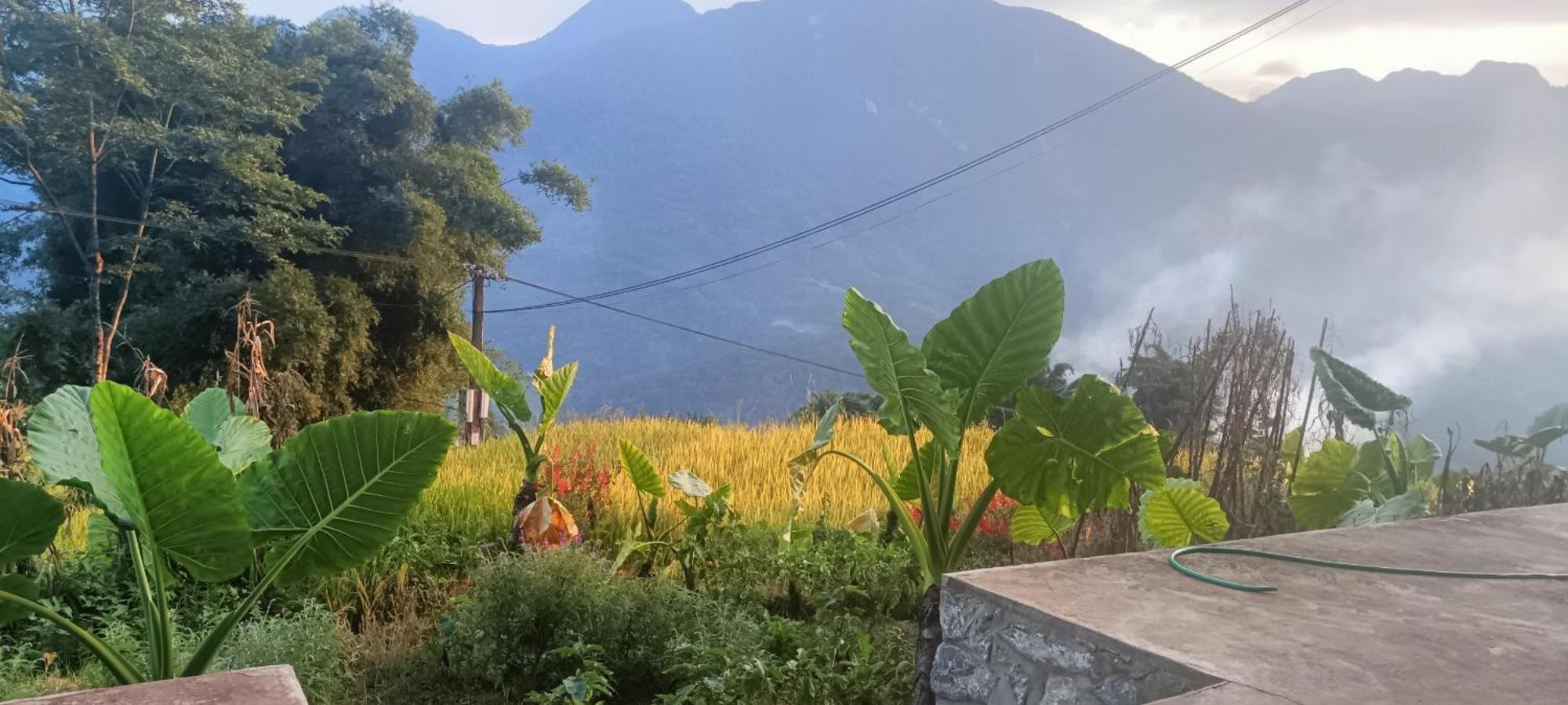 Hmong Eco