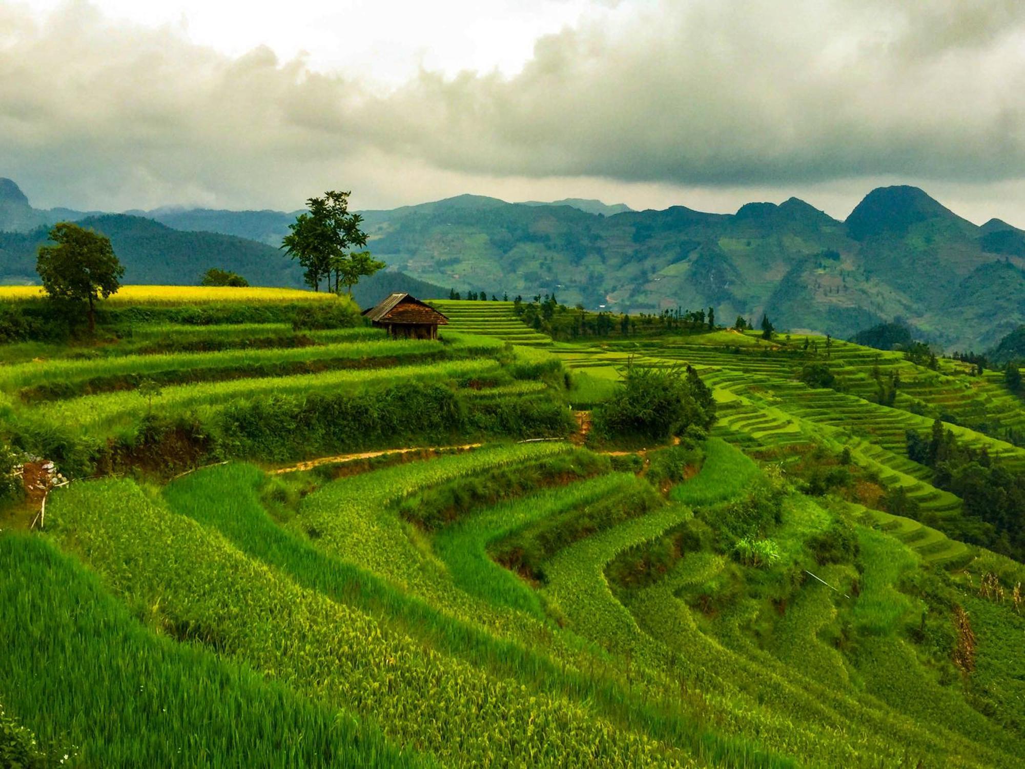 Cong Fu Bac Ha (Lao Cai)