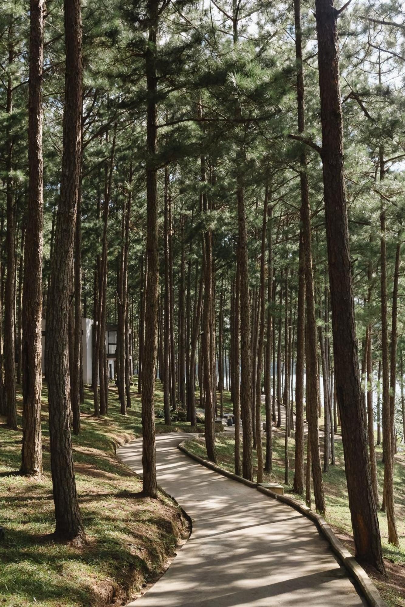 Terracotta & Da Lat