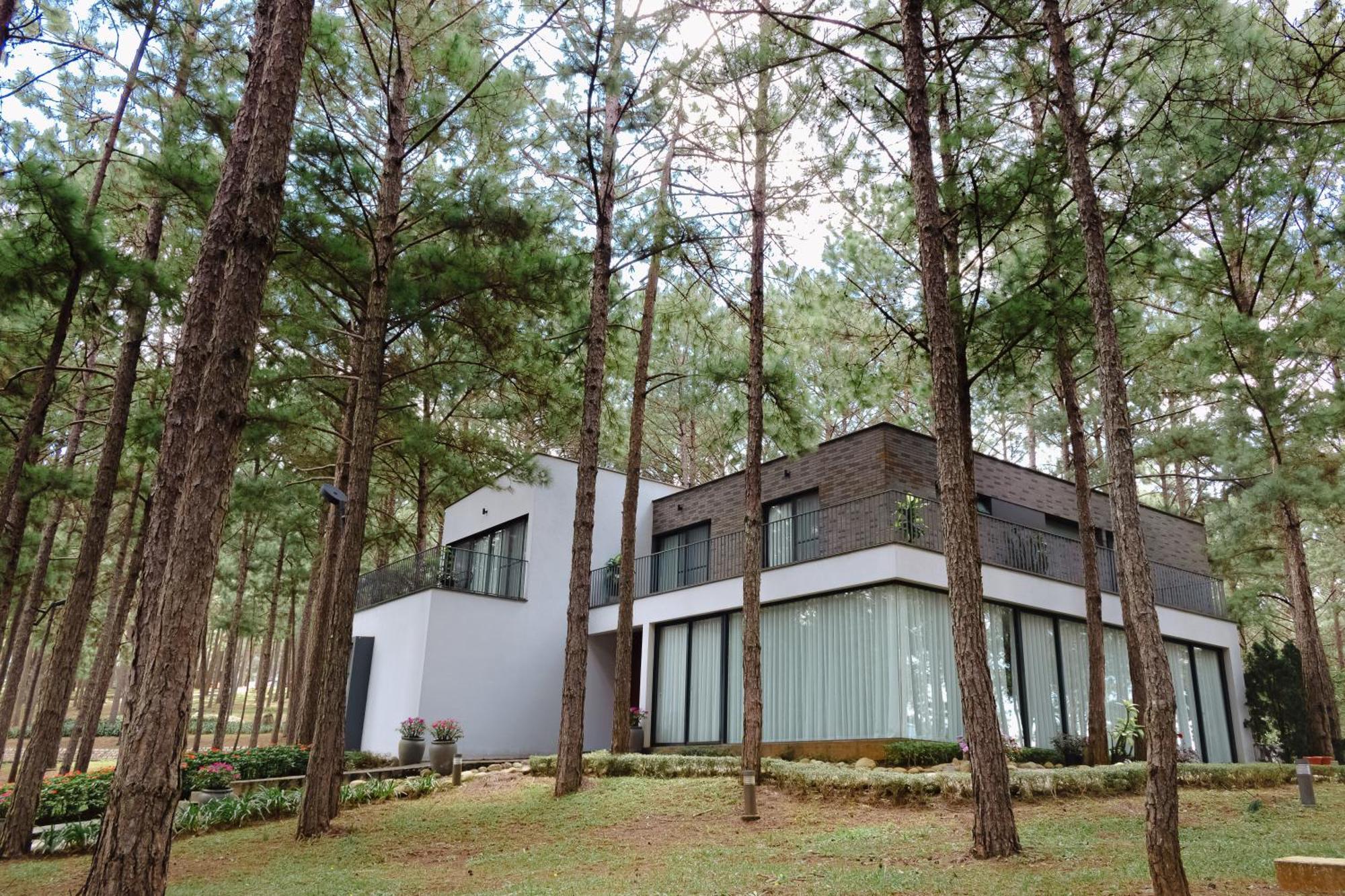 Terracotta & Da Lat