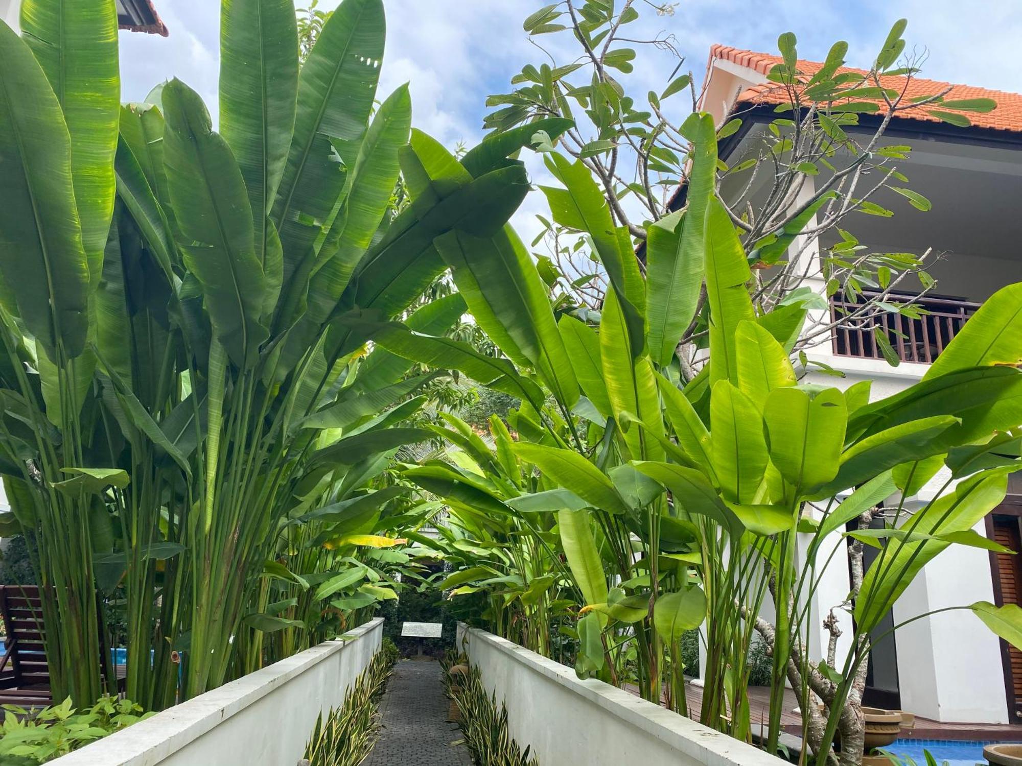 Tropical Pool Villa Da Nang