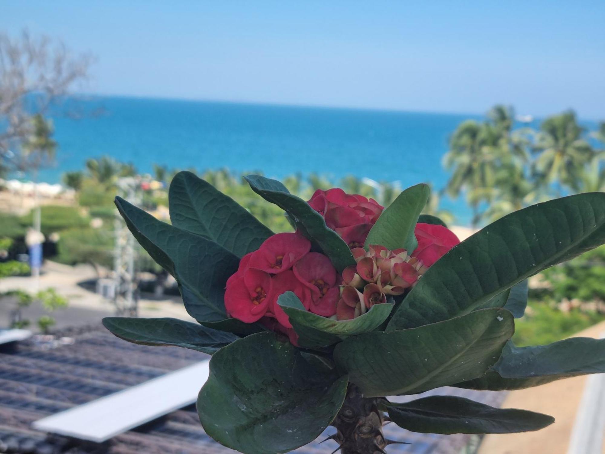 Hotel Pho Bien Nha Trang