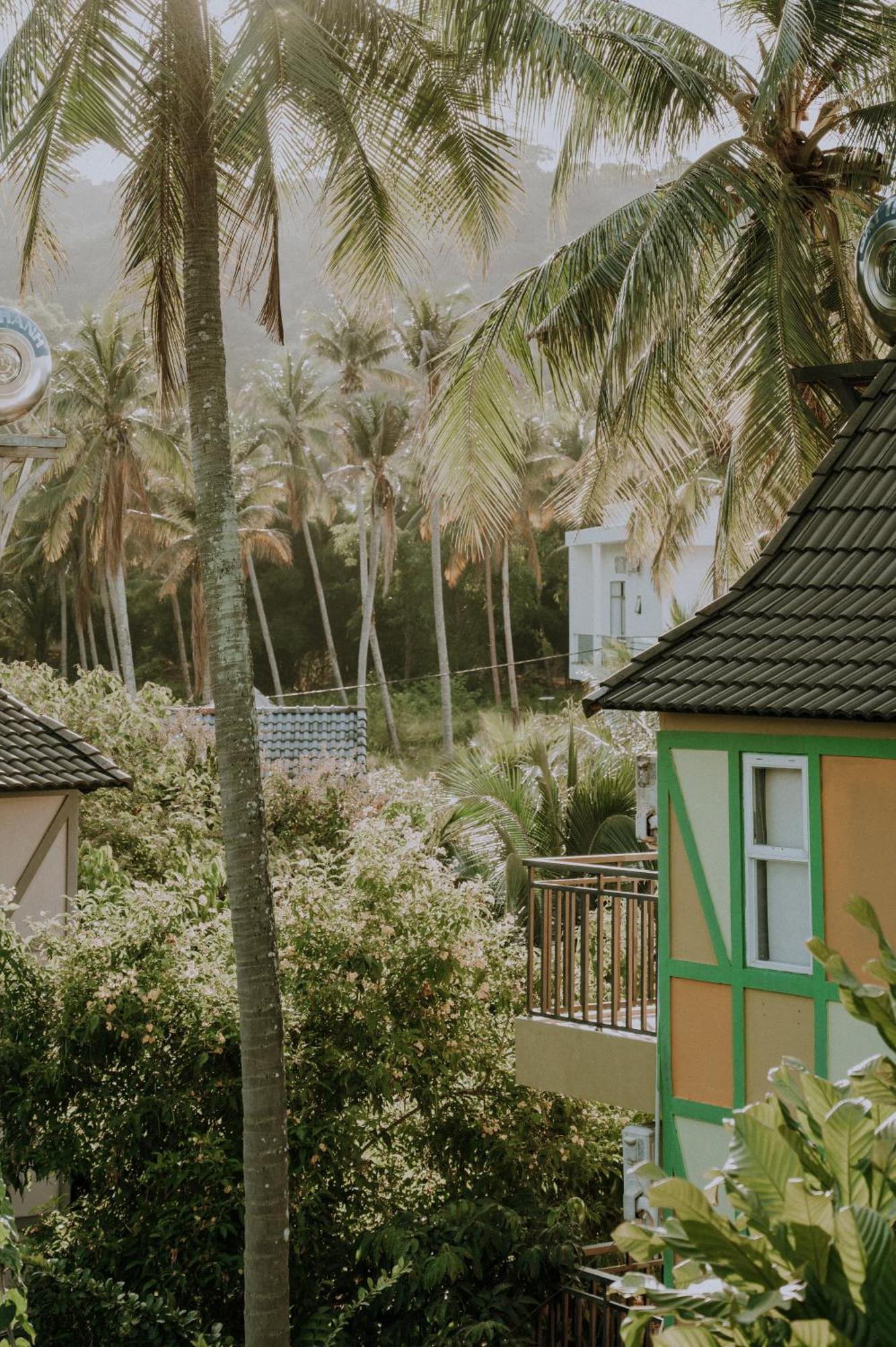 Lilac Phu Quoc