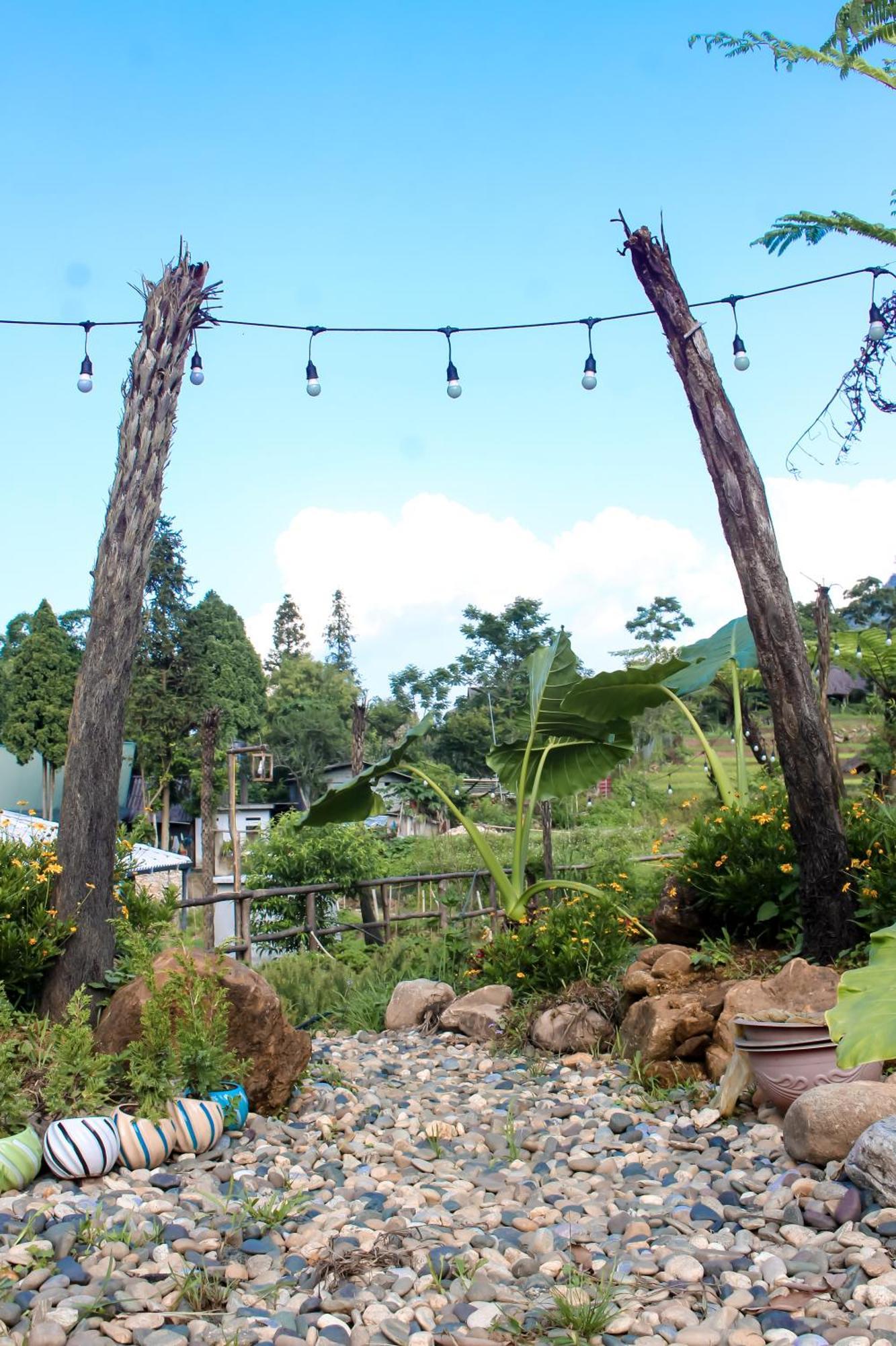 De House & Coffee Lodge *