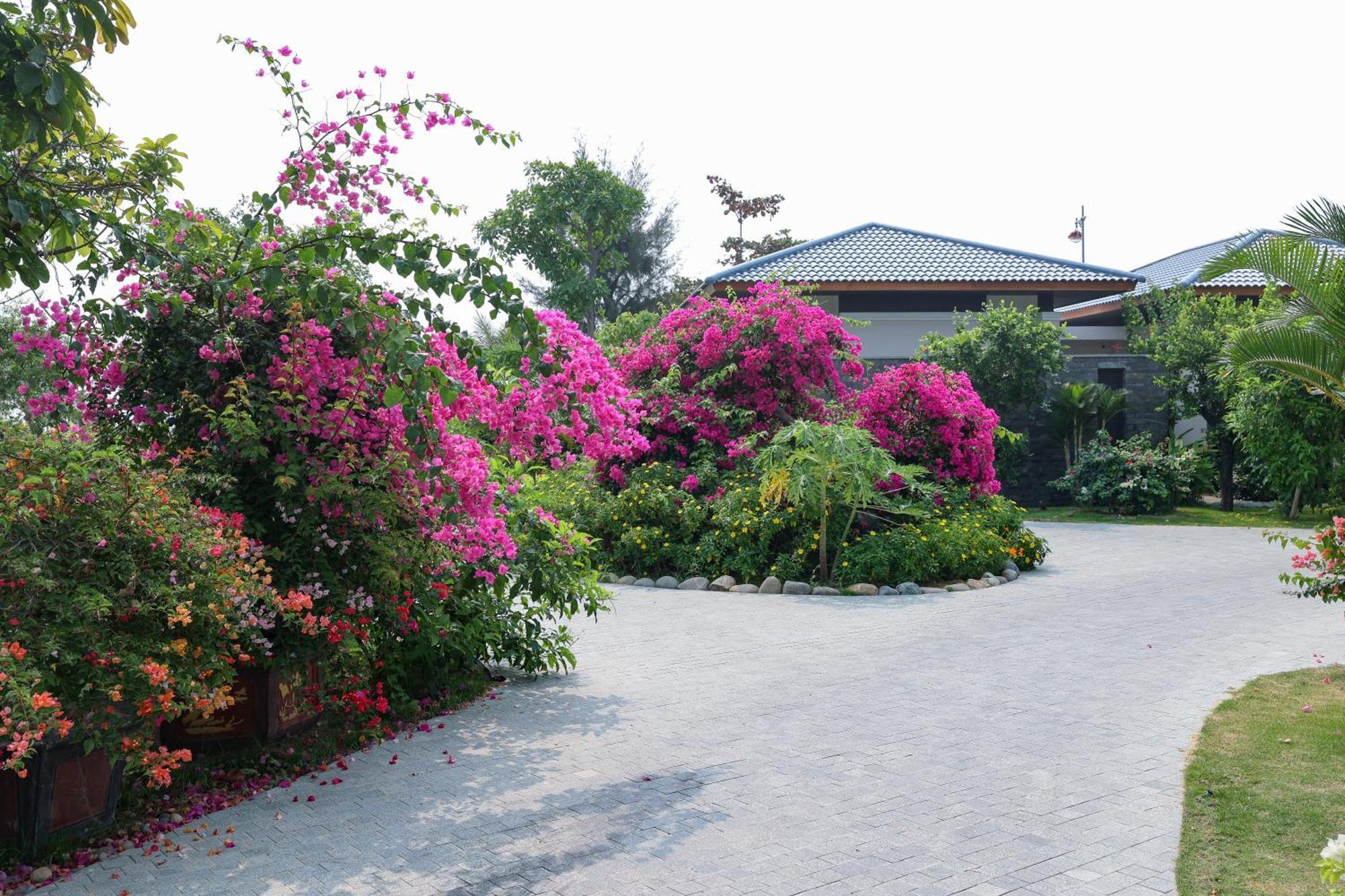 Hoan My - Ninh Chu Resort