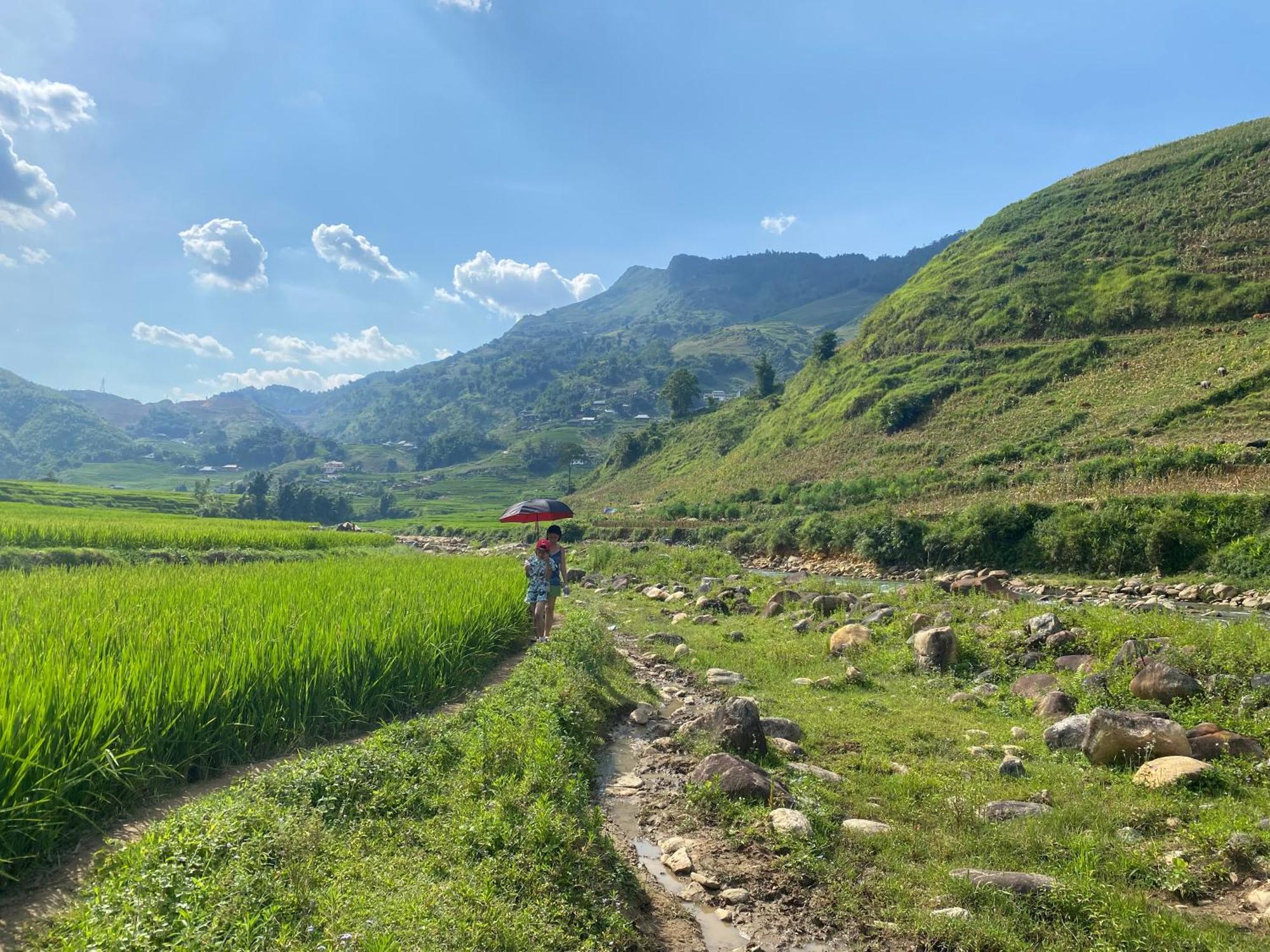 Maison Rose & Jardinier Eco Homestay Sa Pa