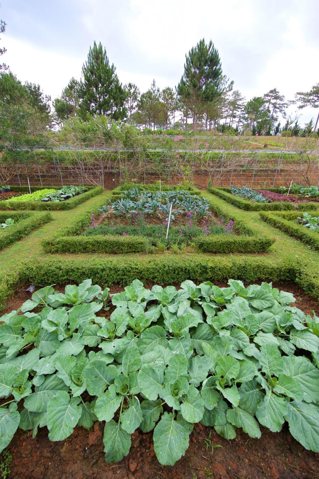 Binh An Village Resort Da Lat