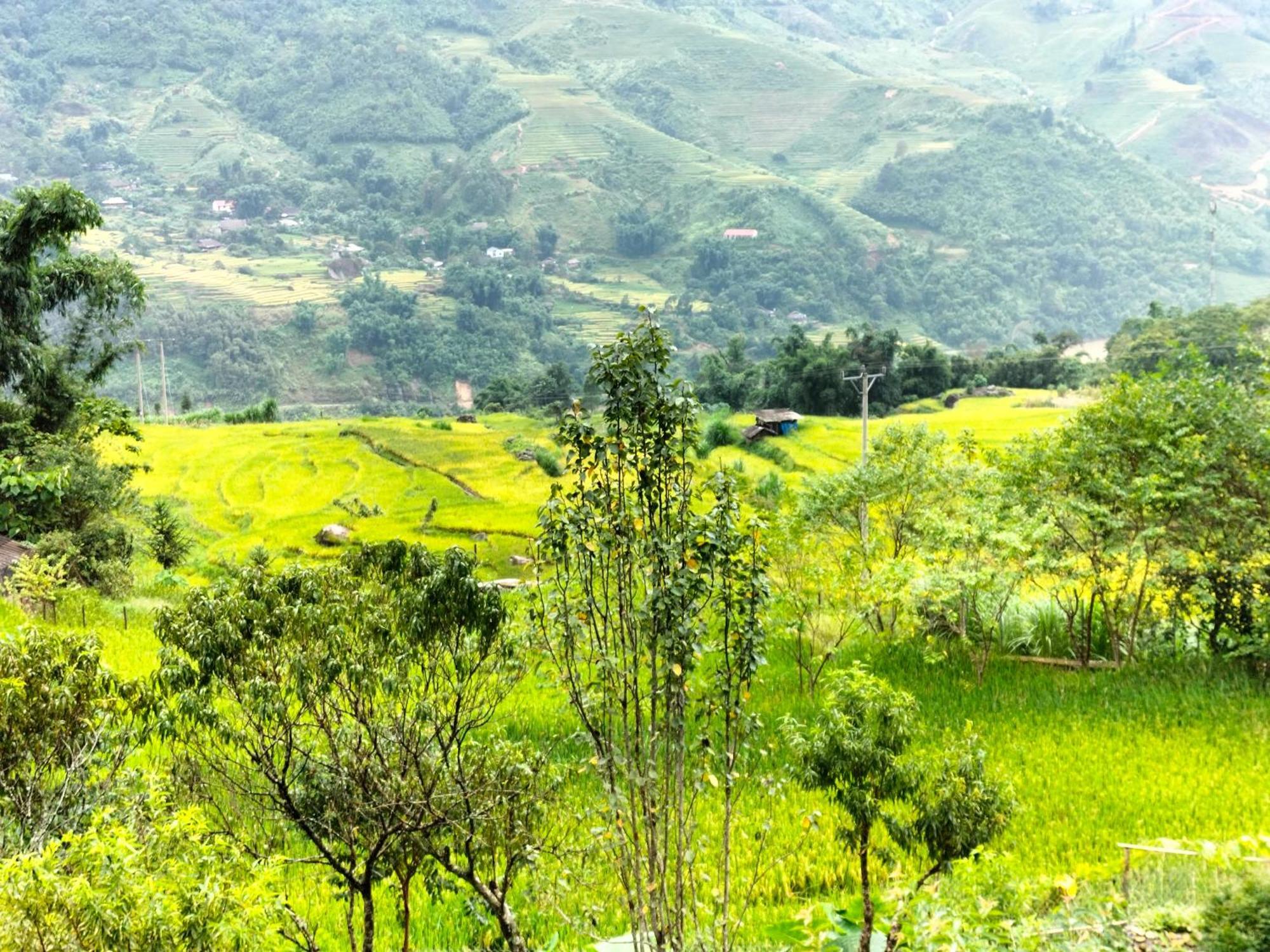 Muong Hoa Hmong * Sa Pa