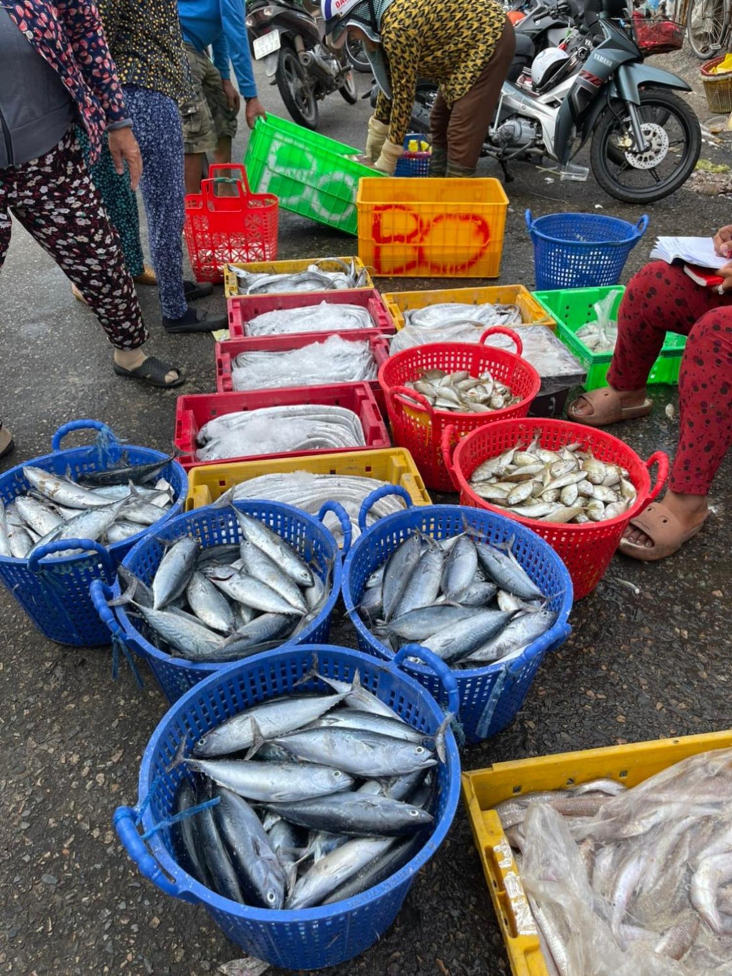 Hotel Duc Luu Quang Binh Thuan Tuy Phong