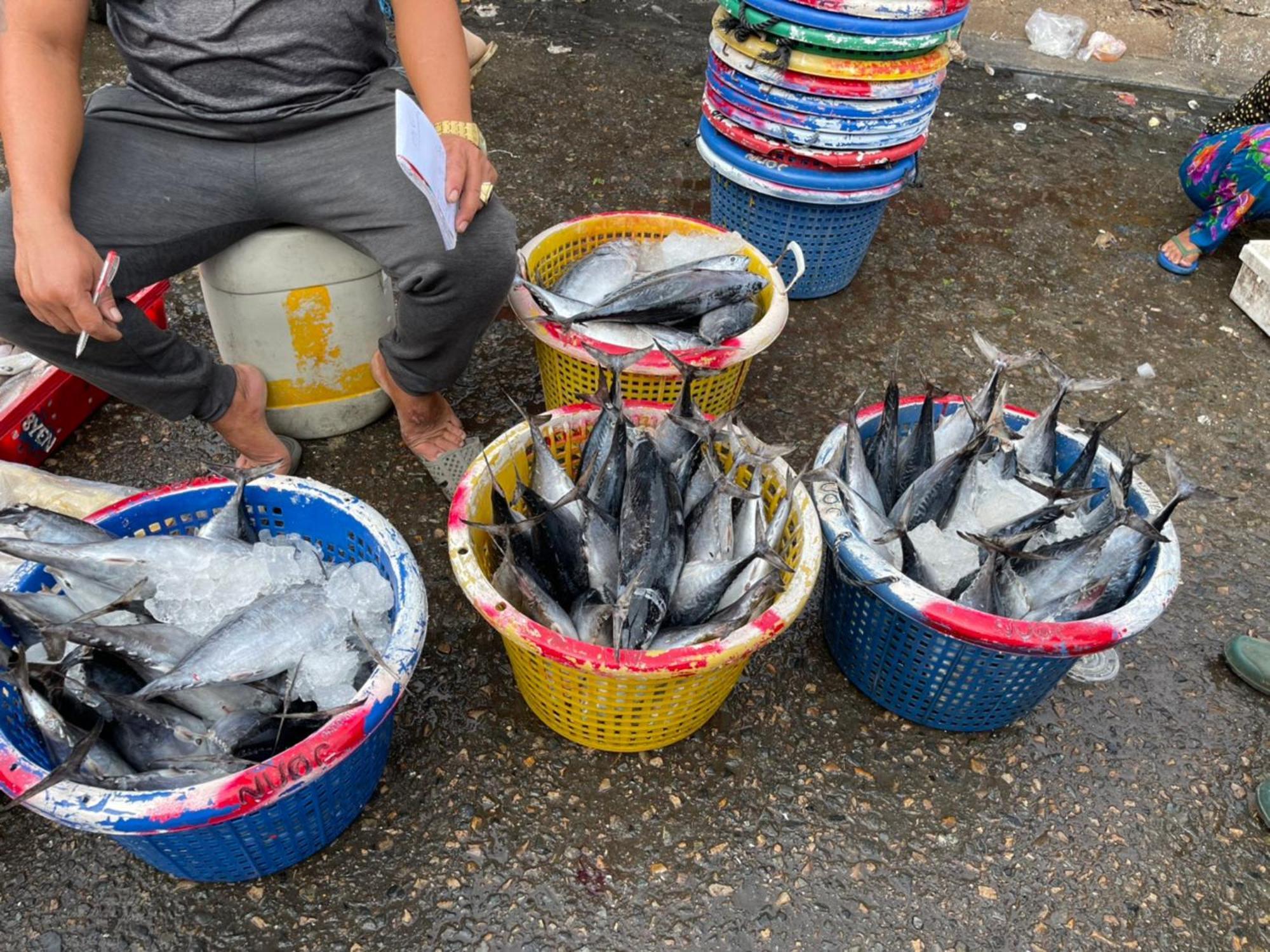 Duc Luu Quang Binh Thuan 2* Tuy Phong