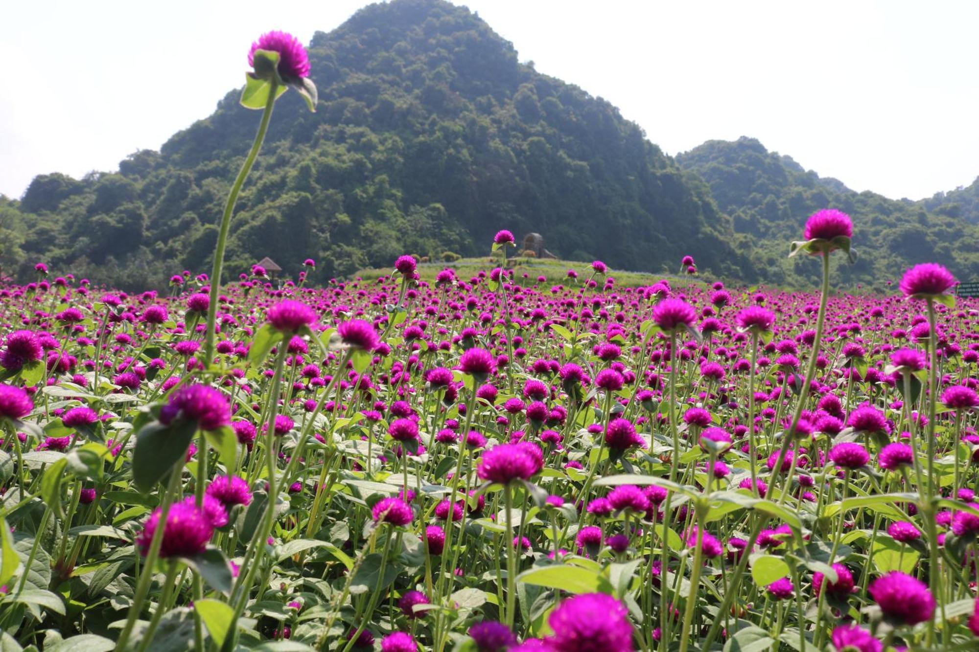 Thung Nham 3* Ninh Binh