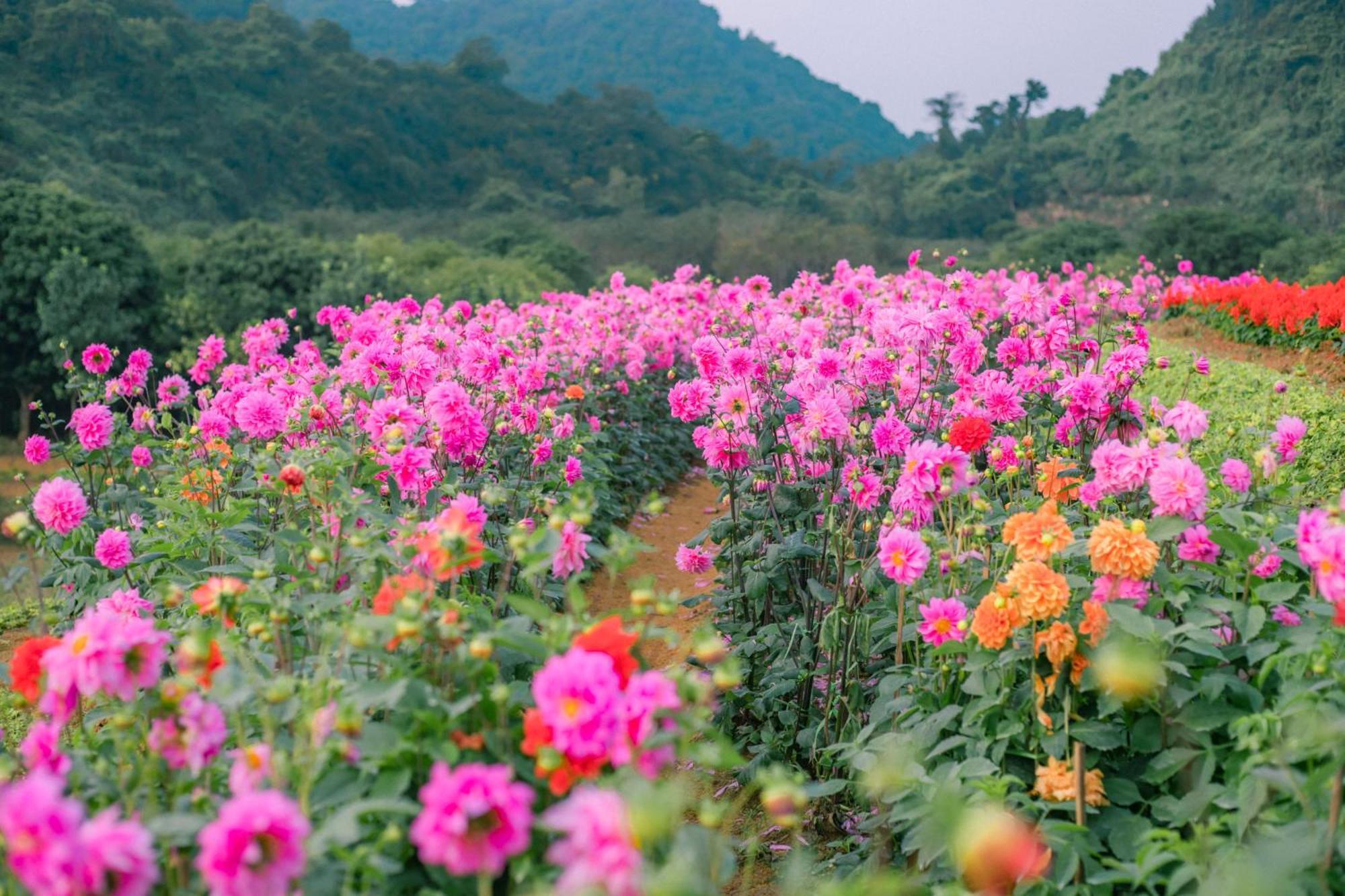 Hotel Thung Nham Ninh Binh