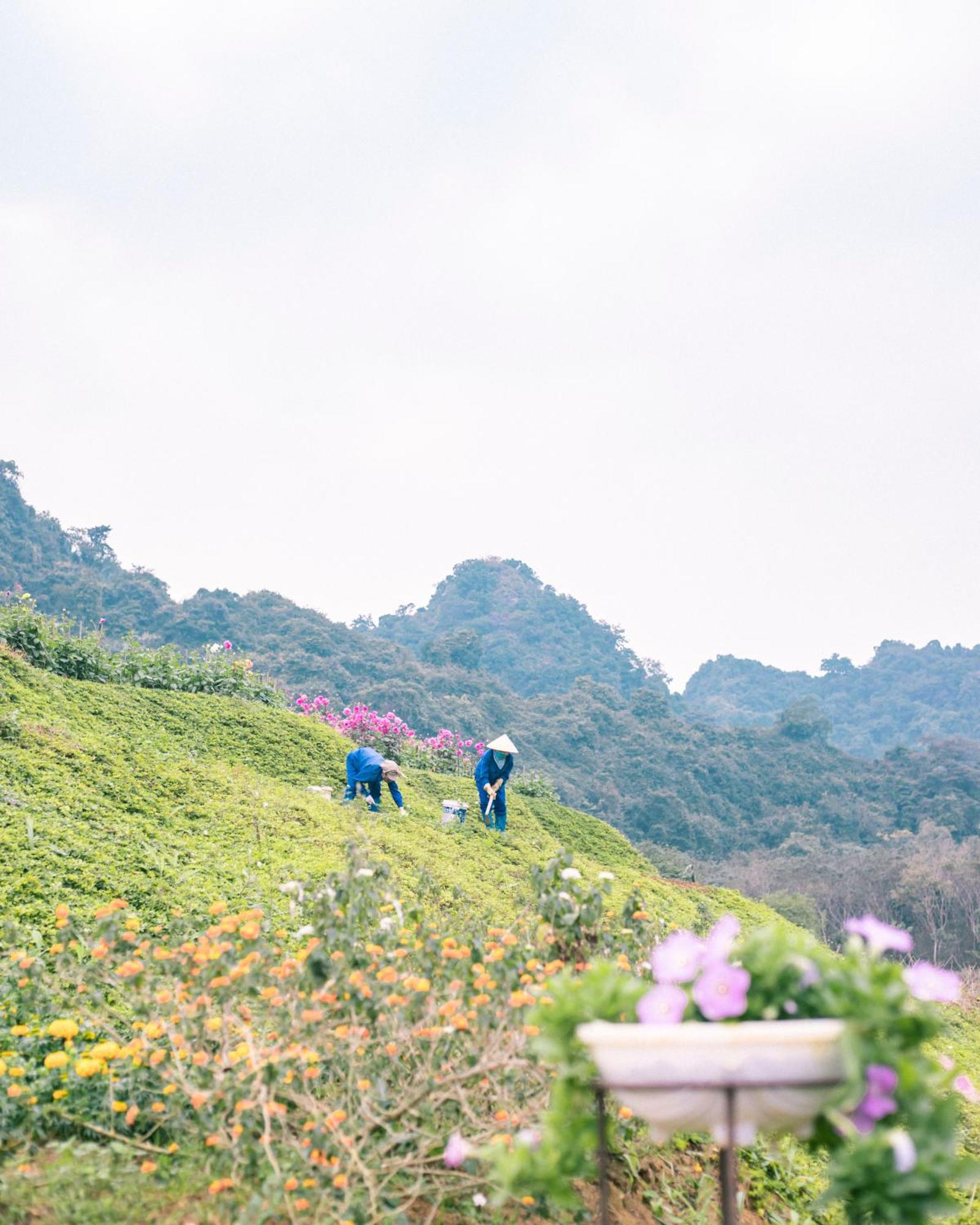 Thung Nham Hotel 3*