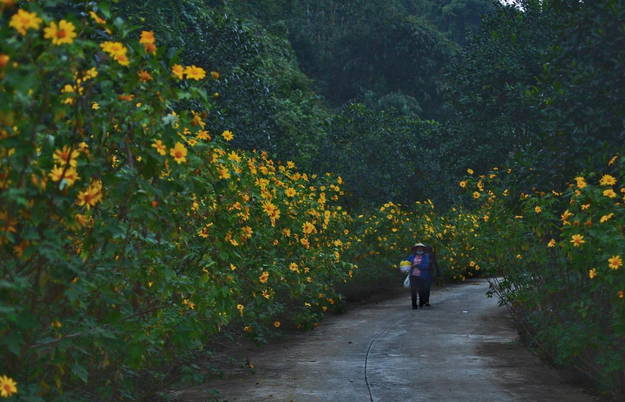 Thung Nham
