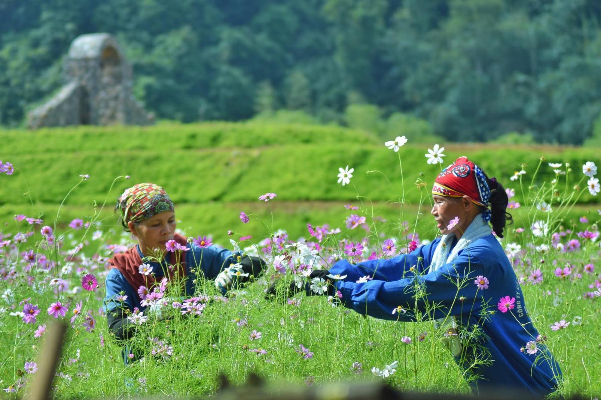 Thung Nham Khách sạn Ninh Bình