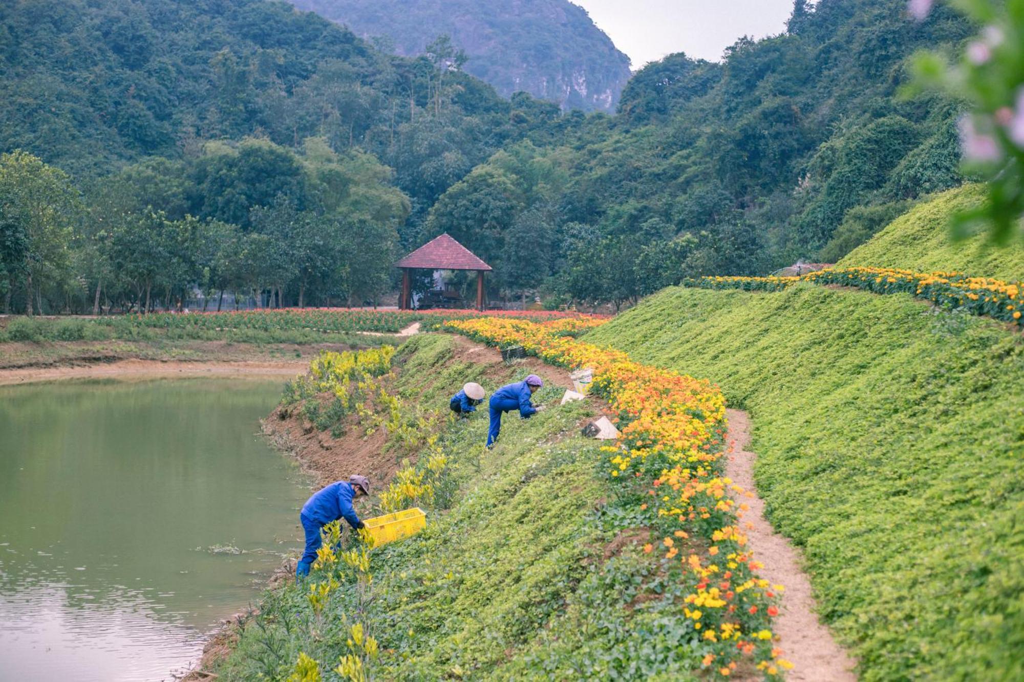 Hotel Thung Nham Ninh Binh