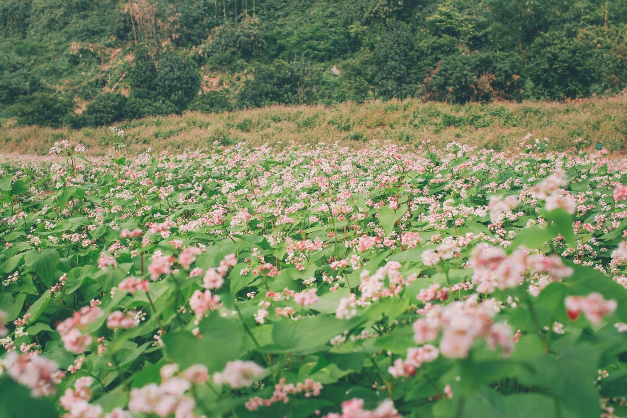 Thung Nham 3* Ninh Binh