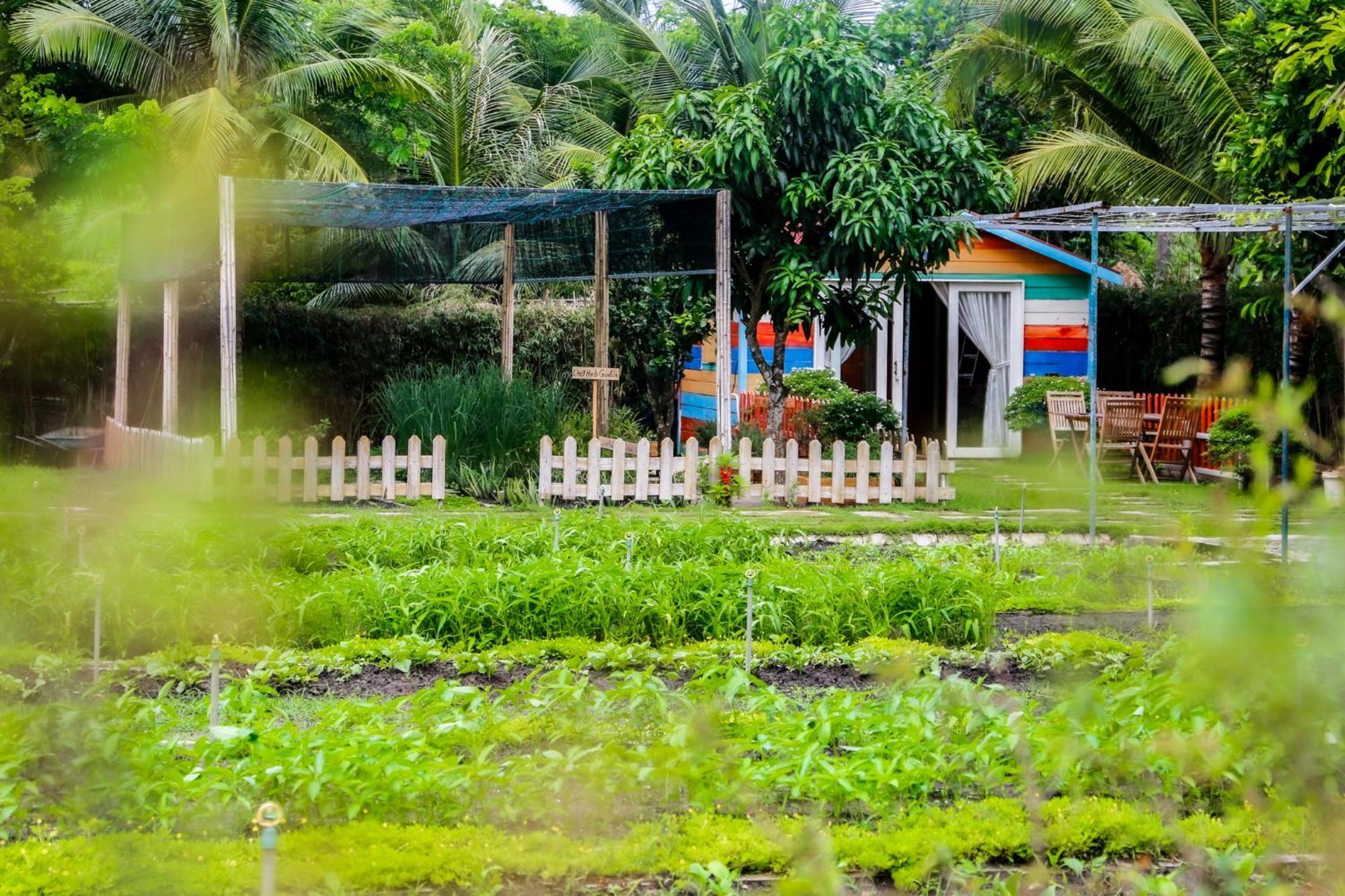 Dưỡng Bãi Biển Melia Ho Tram