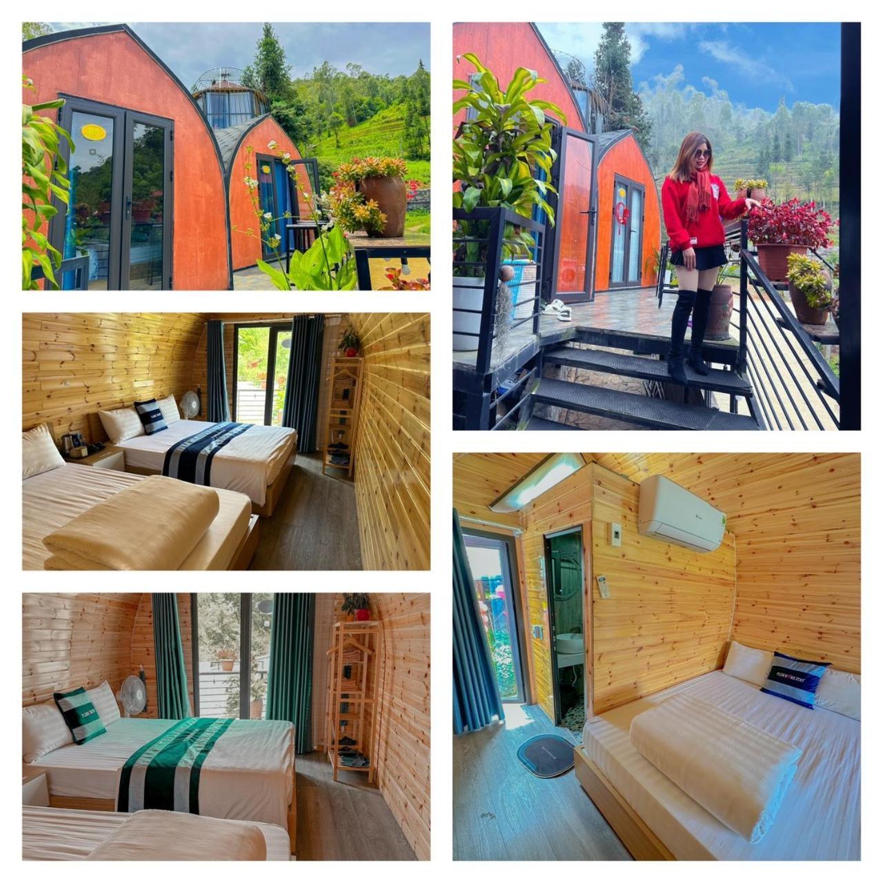 Plum Homestay *