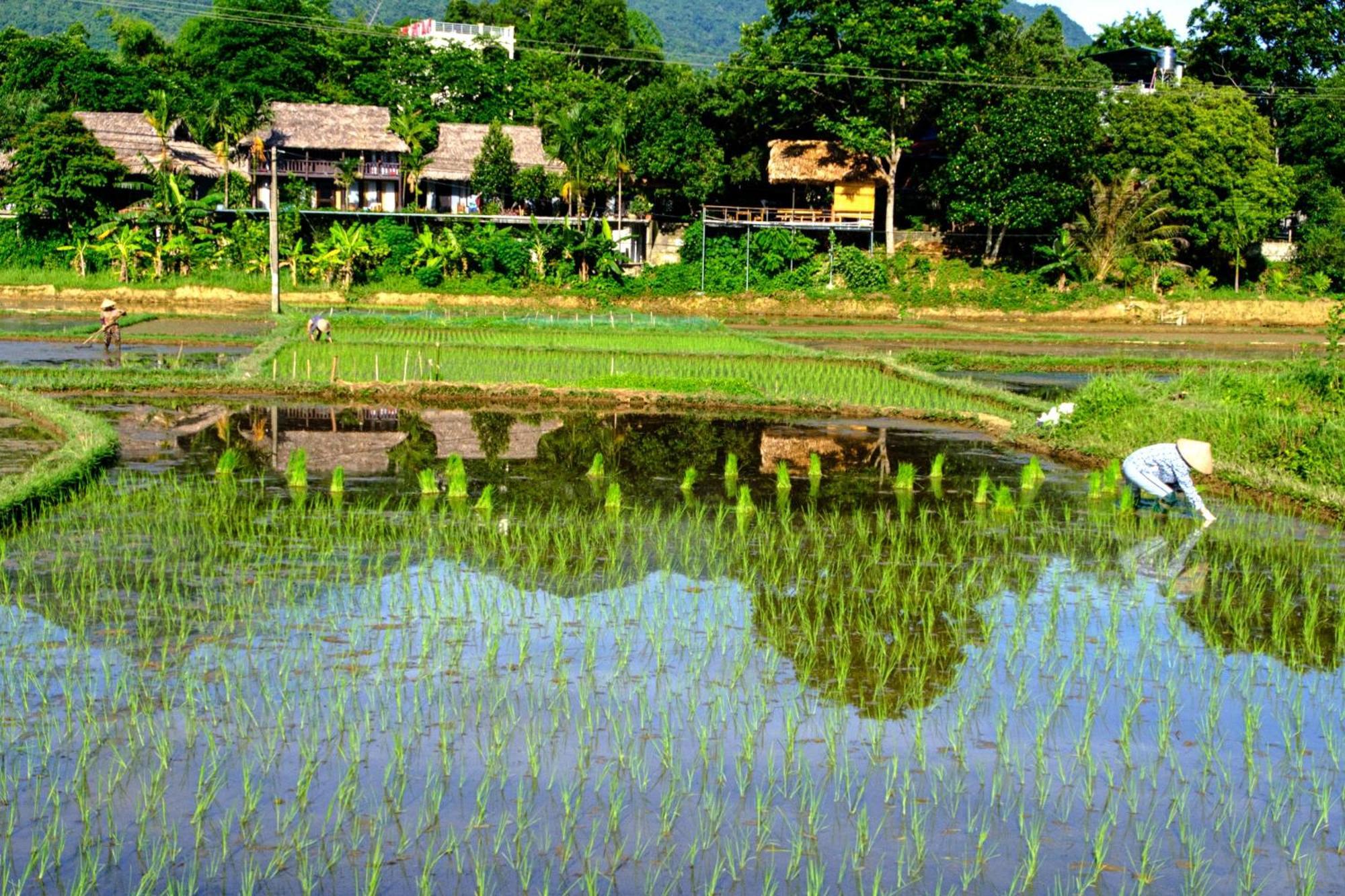 Homestay Nha Tan - And Tours *