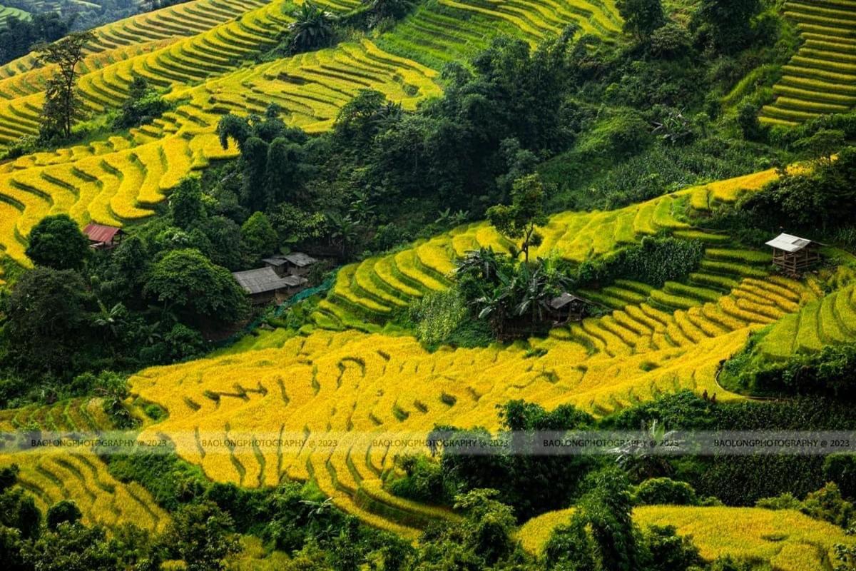 Hmong House * Sa Pa
